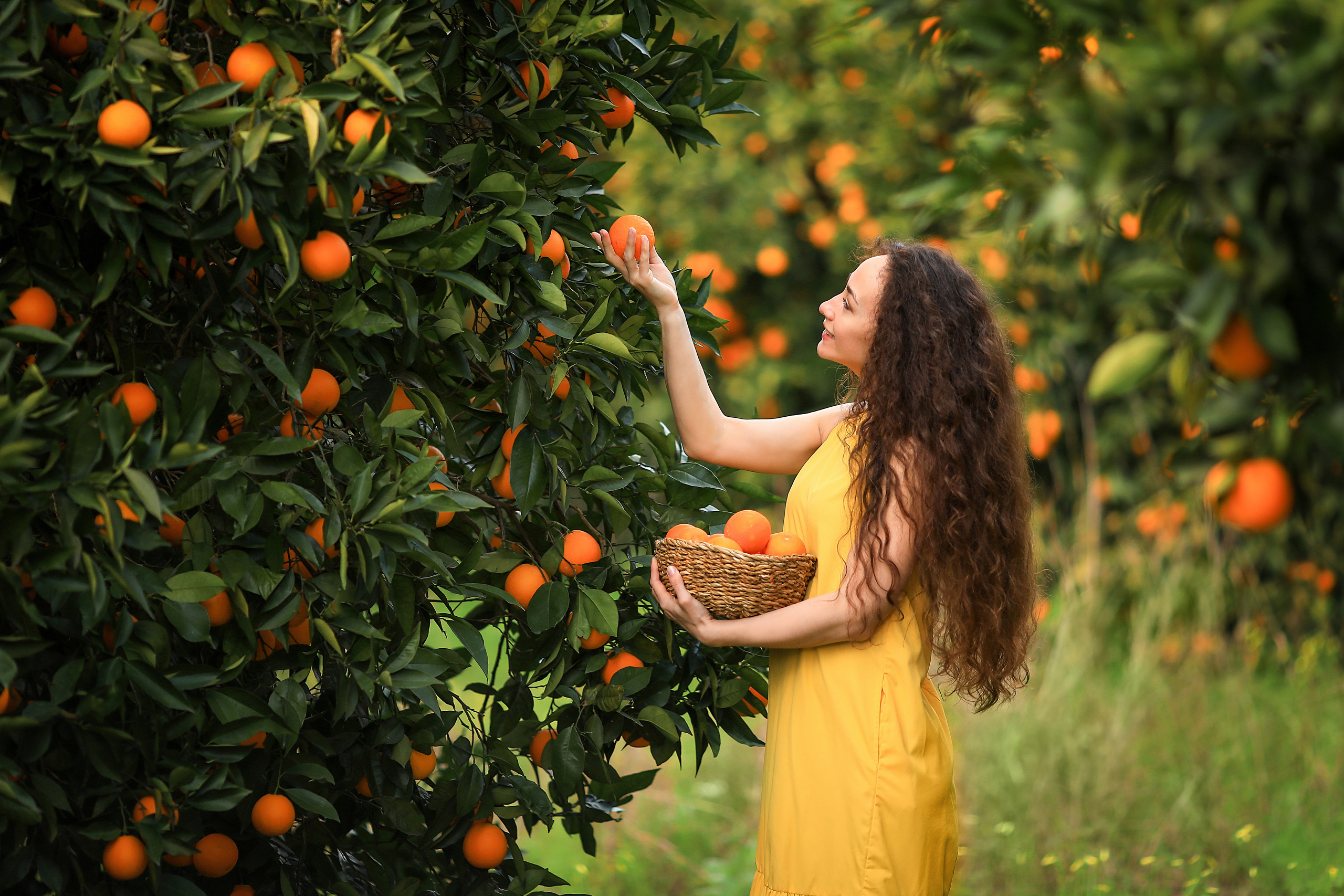 Photoshooting in orange garden. Photographer in Turkey, Antalya, Kemer, Belek, Side, Kas, Fethiye