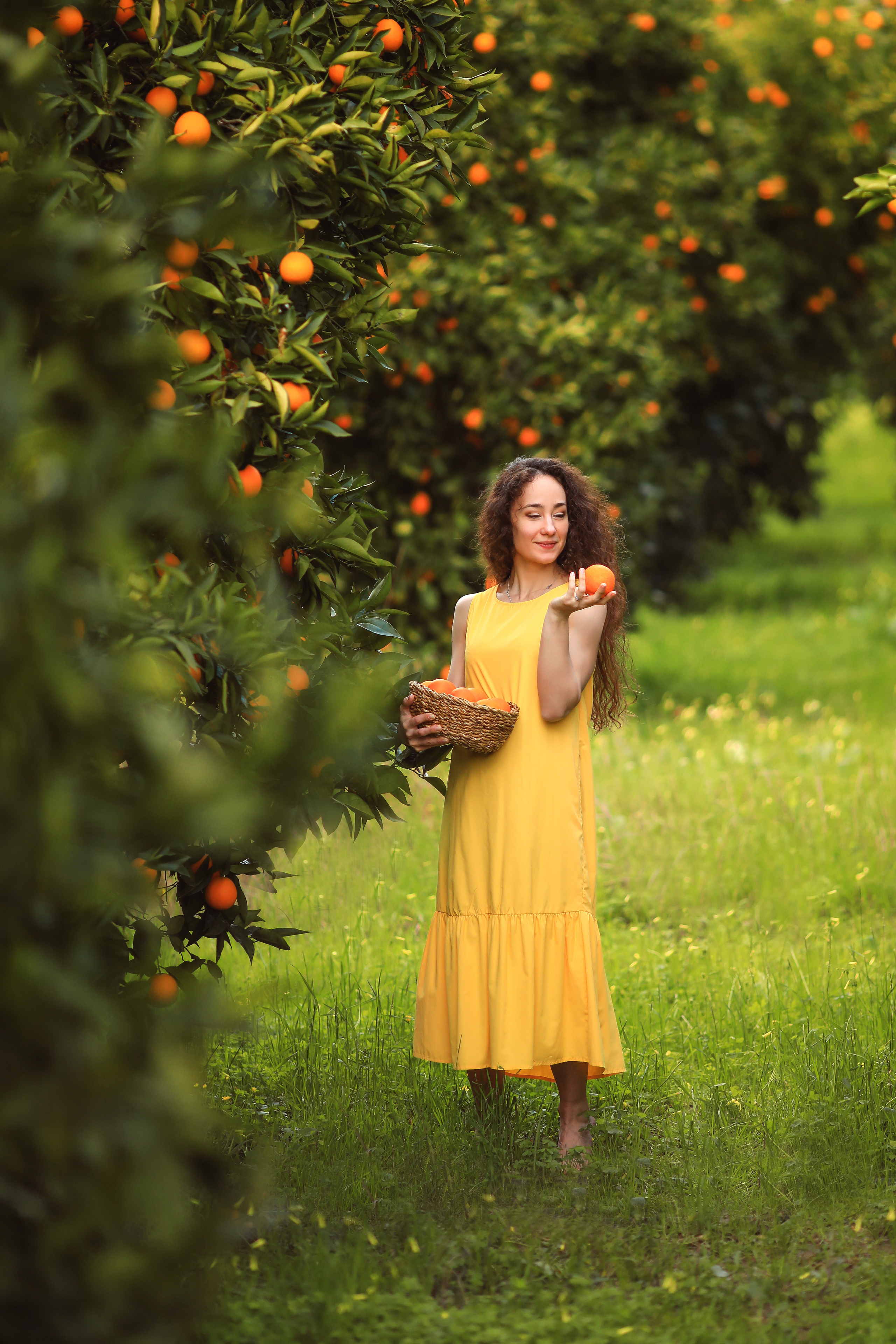 Photoshooting in orange garden. Photographer in Turkey, Antalya, Kemer, Belek, Side, Kas, Fethiye