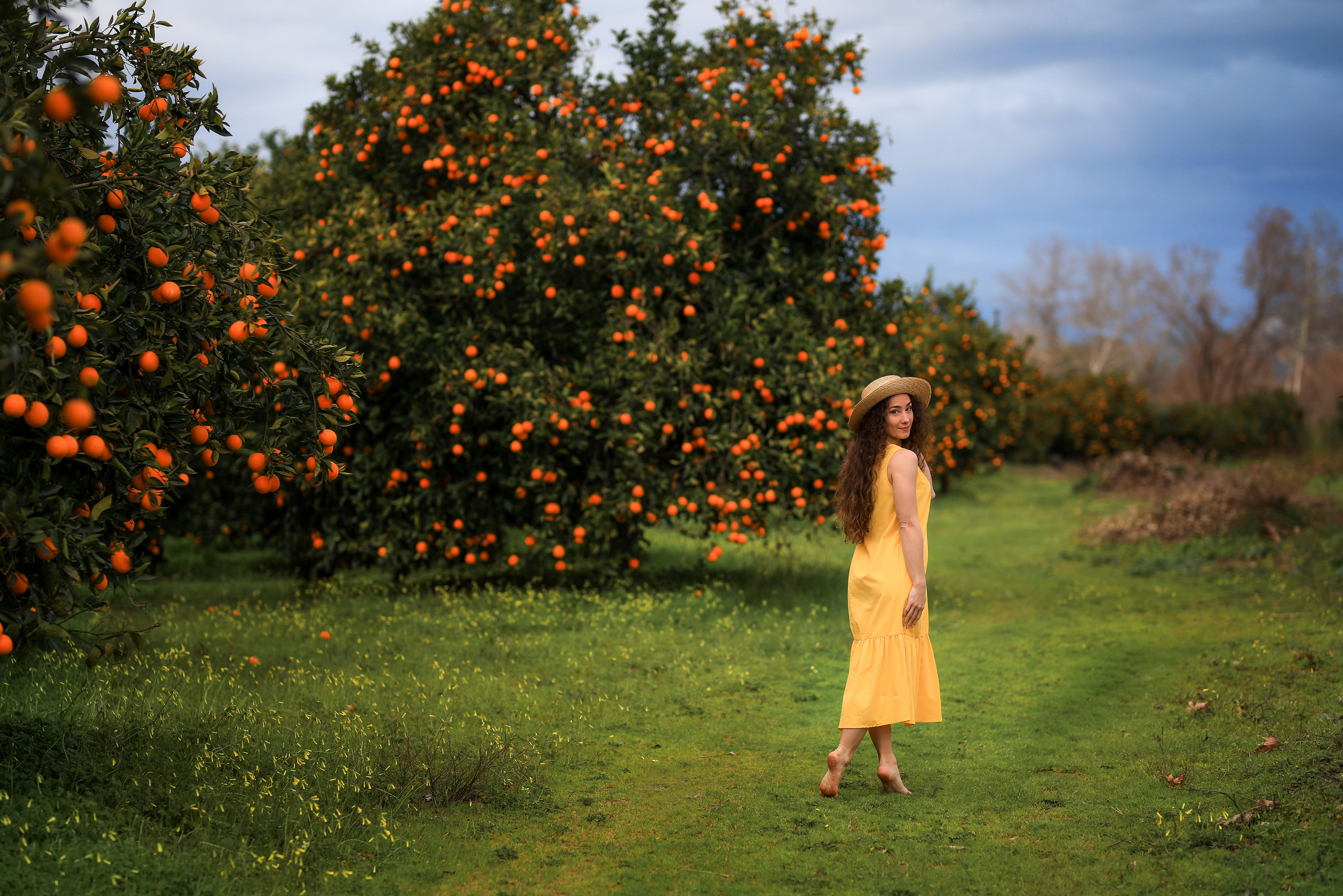 Photoshooting in orange garden. Photographer in Turkey, Antalya, Kemer, Belek, Side, Kas, Fethiye
