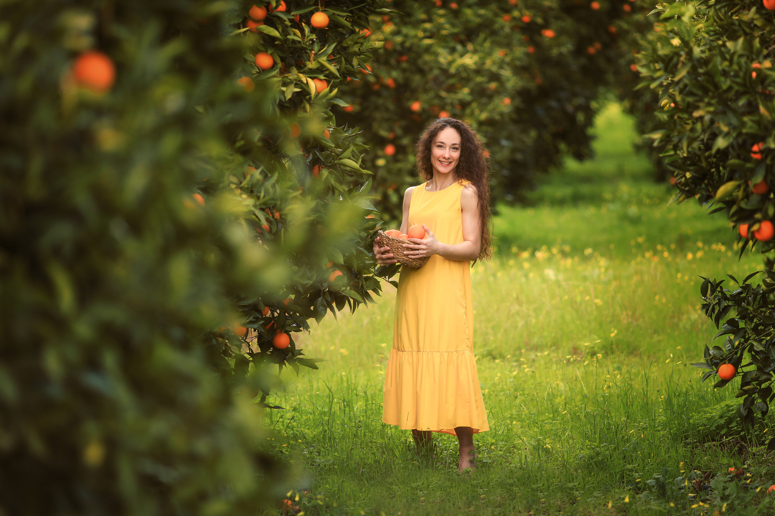 Photoshooting in orange garden. Photographer in Turkey, Antalya, Kemer, Belek, Side, Kas, Fethiye