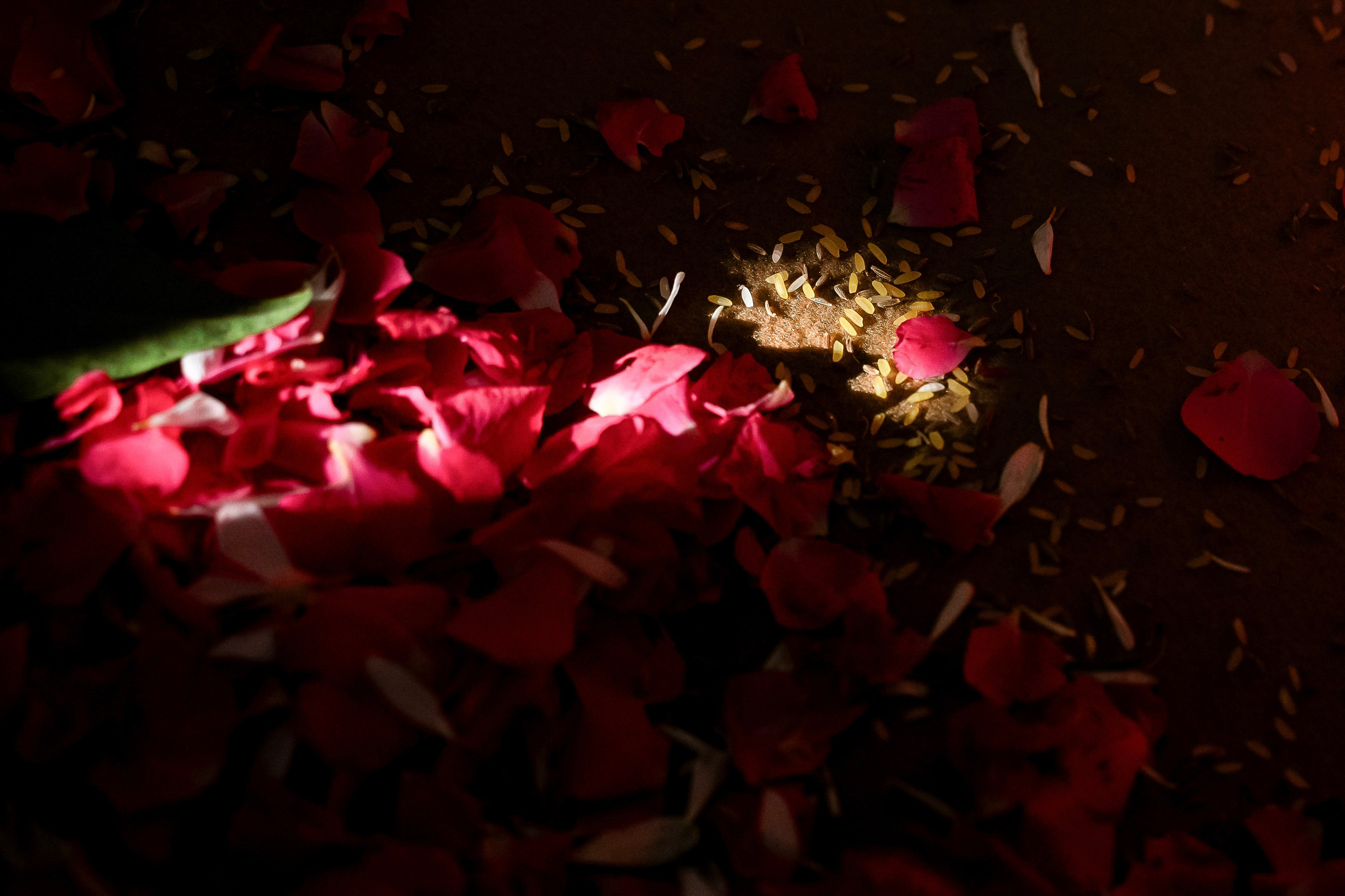 Meghana & Sanjay, Wedding at Royalton Leisure, Bangalore | Truly Yours