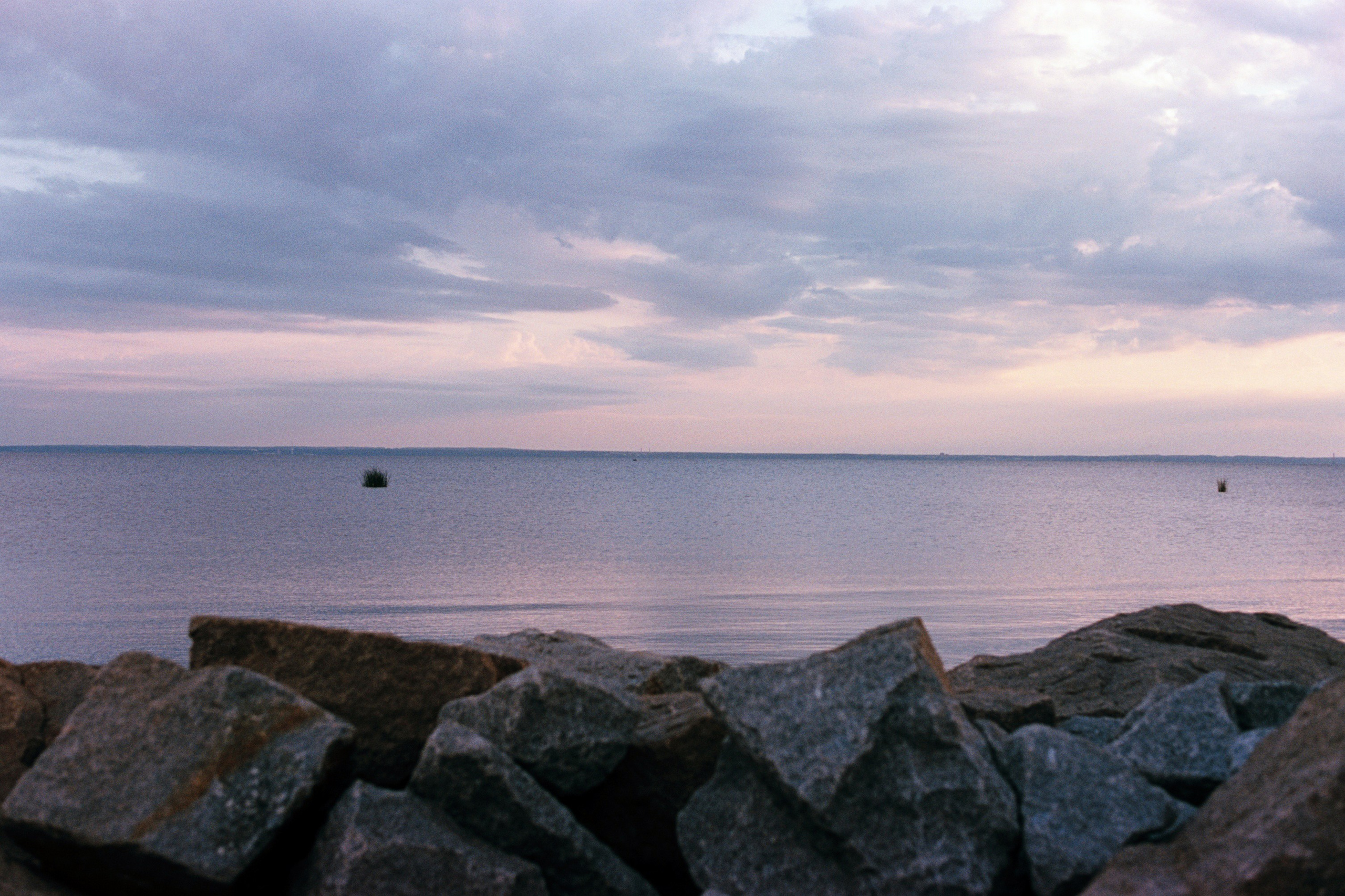 Saint-Petersburg (2020-2023)_2. Elena Zykova film photographer in London