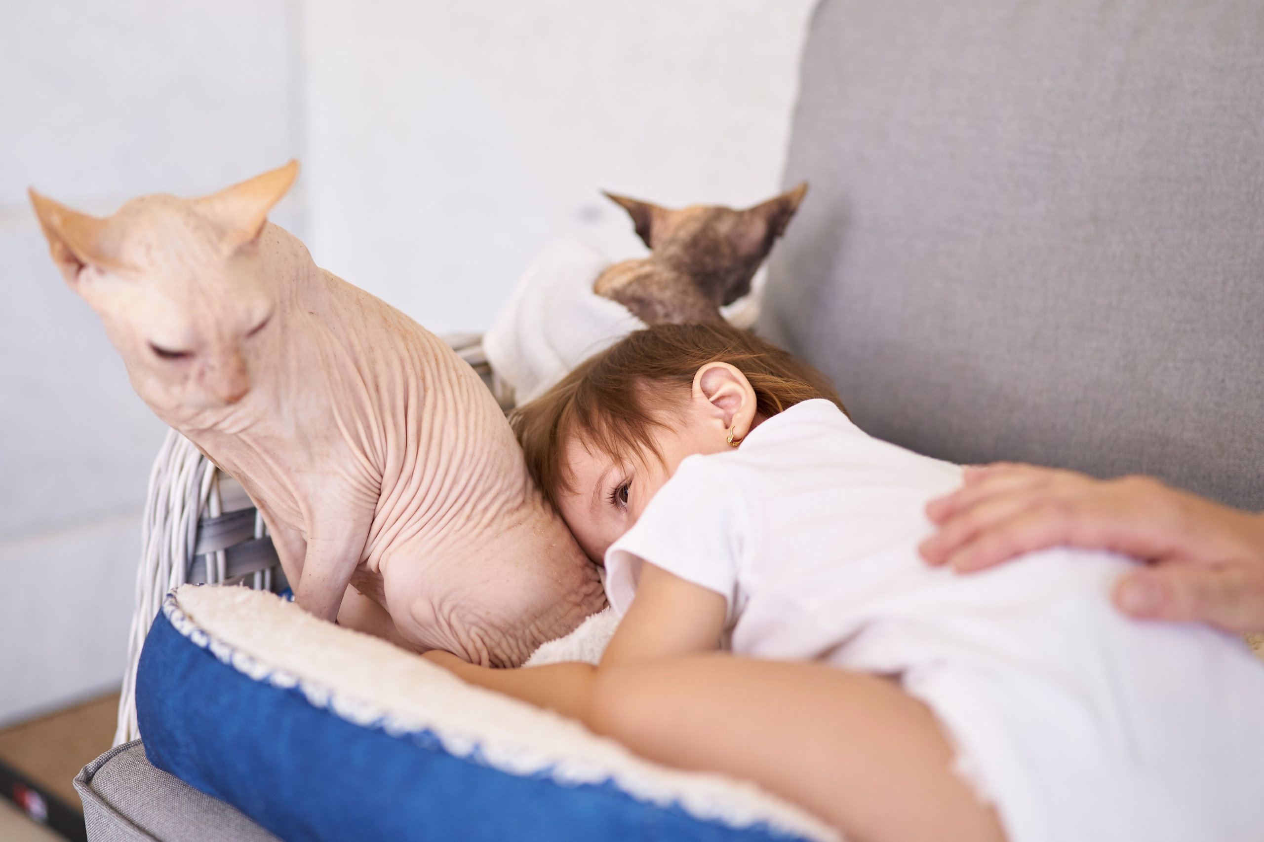 Sonya — is 1 year old. צלם אלכס ברט בישראל