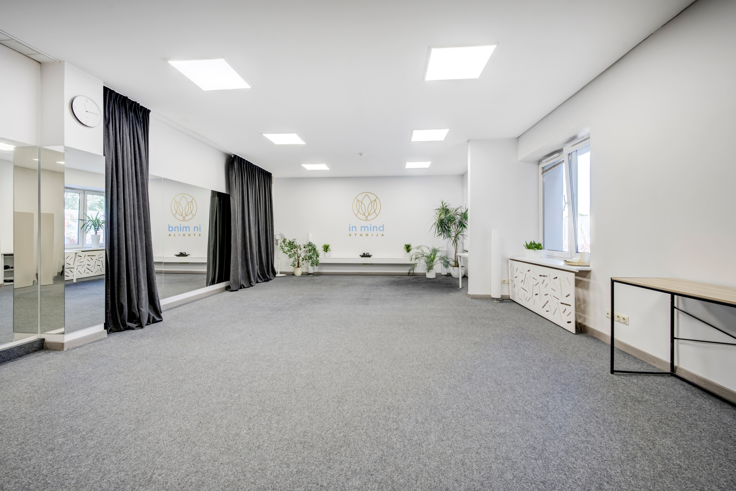 Saltoniškių g. 31. Elina Sapiega fotografė Vilniuje