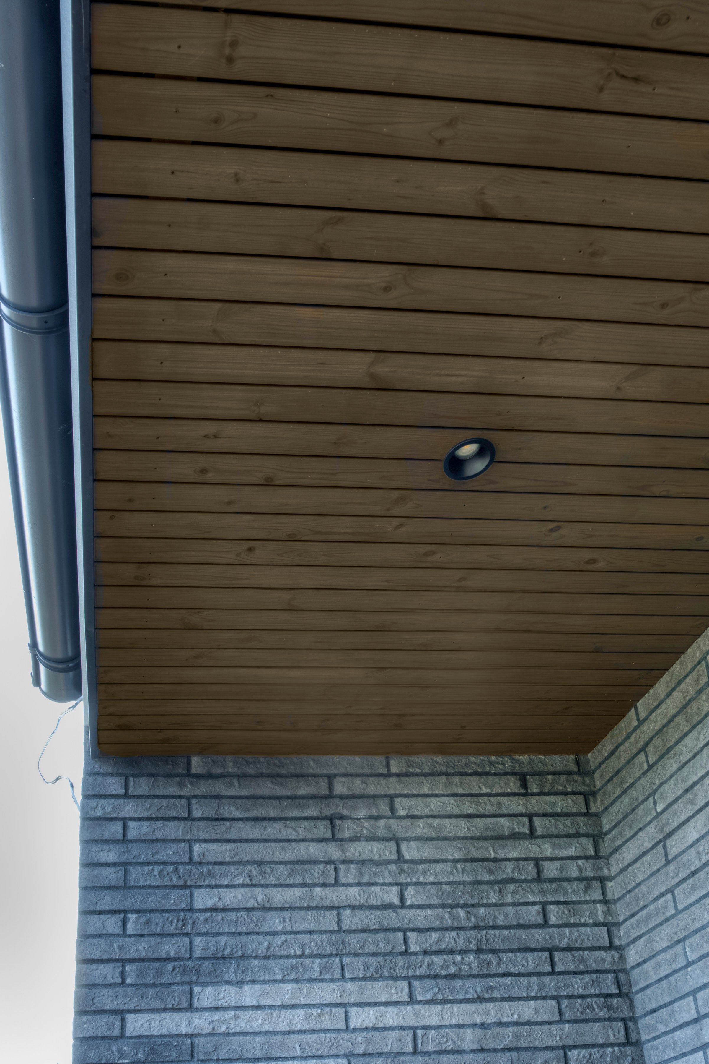 Debesų g. 4, Salotė. Elina Sapiega fotografė Vilniuje