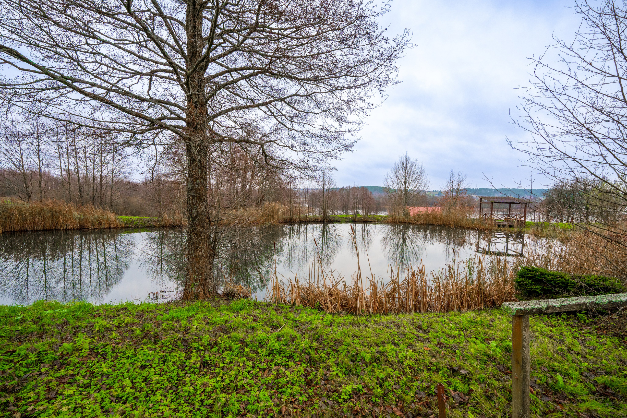 Trakų raj. sodyba. Elina Sapiega fotografė Vilniuje