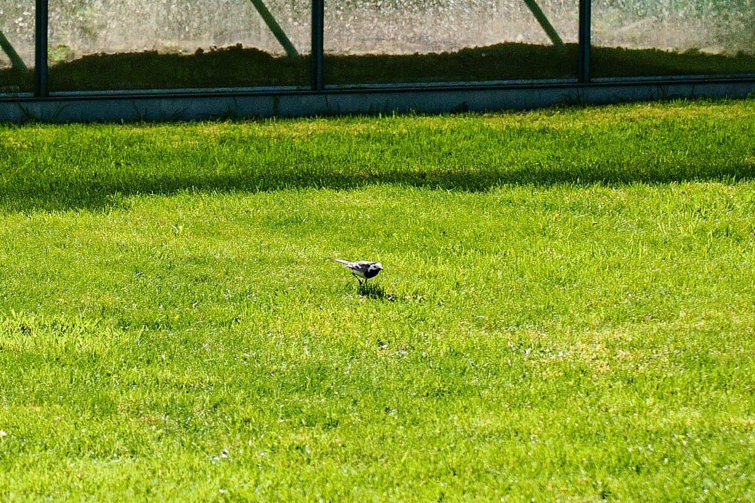 Namo fotosesija. Elina Sapiega fotografė Vilniuje