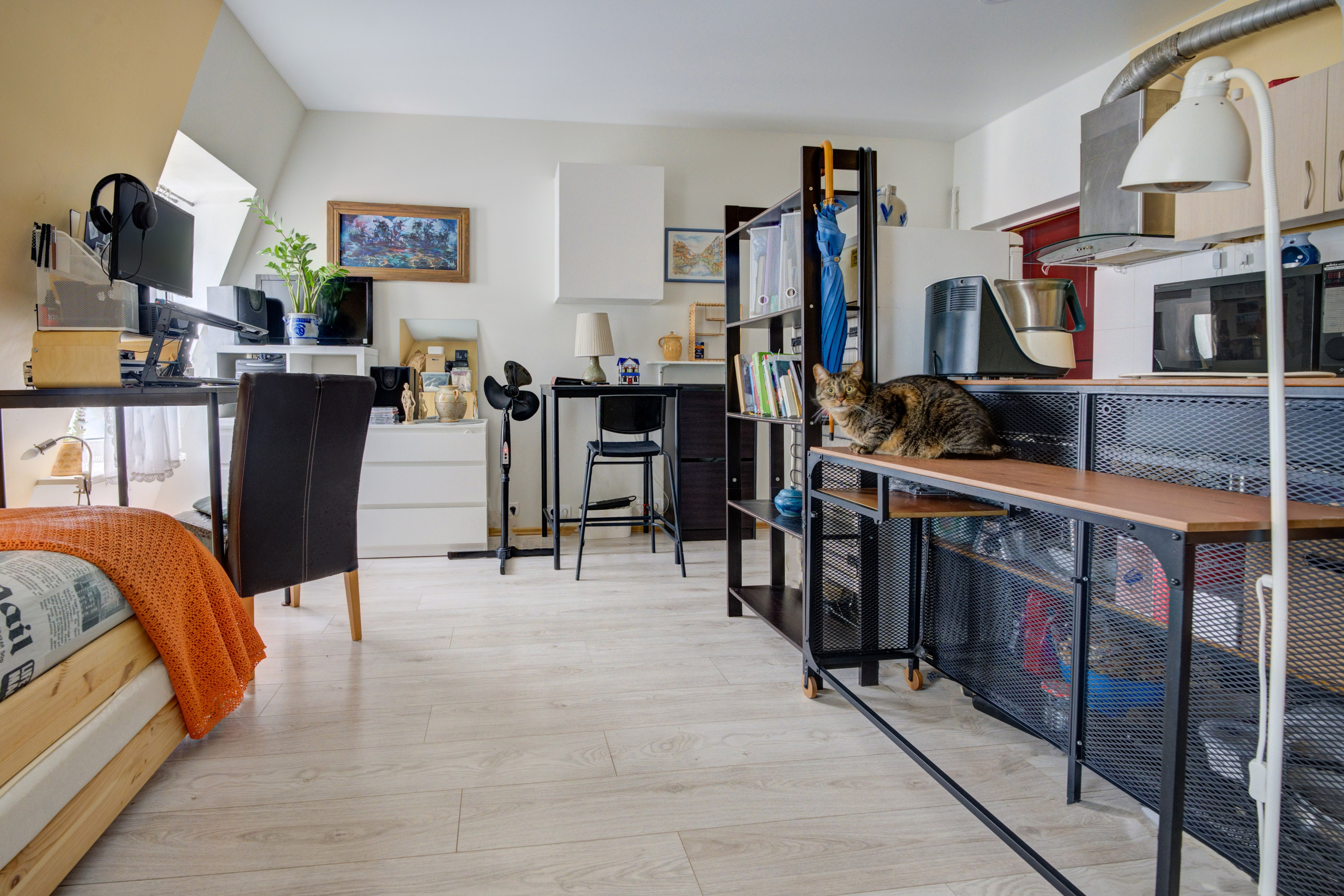 Naujaninkai mažas butelis. Elina Sapiega fotografė Vilniuje