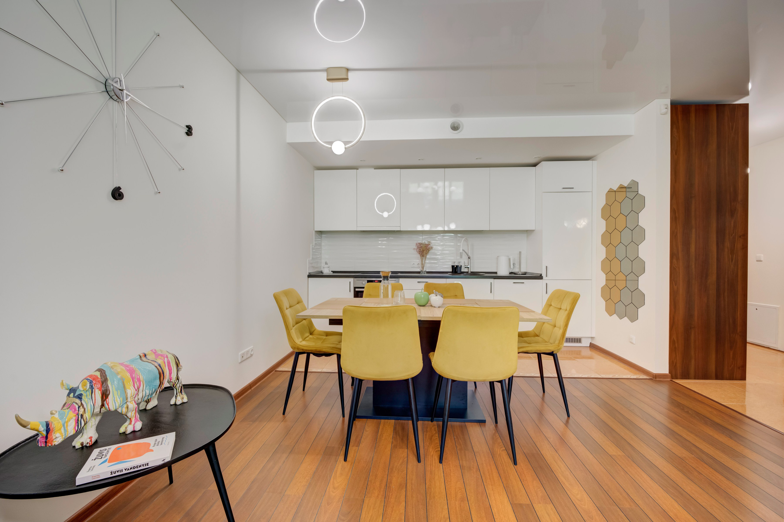 Mokslininkų g. 7. Elina Sapiega fotografė Vilniuje