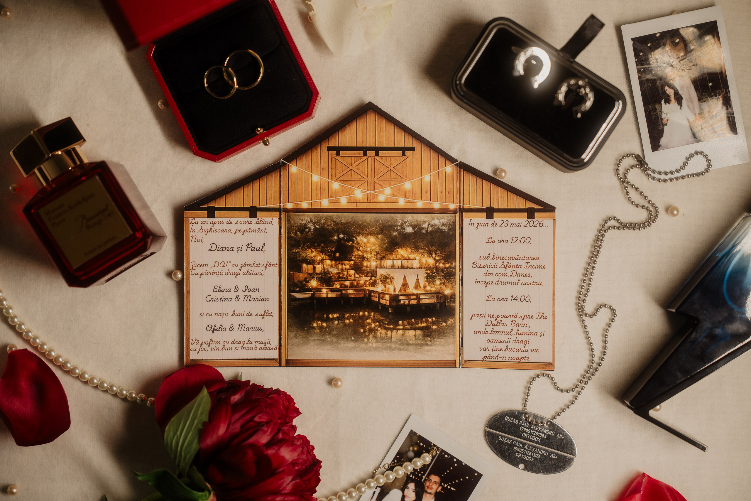 Diana și Paul. Visuals of Theodor — Wedding Photographer