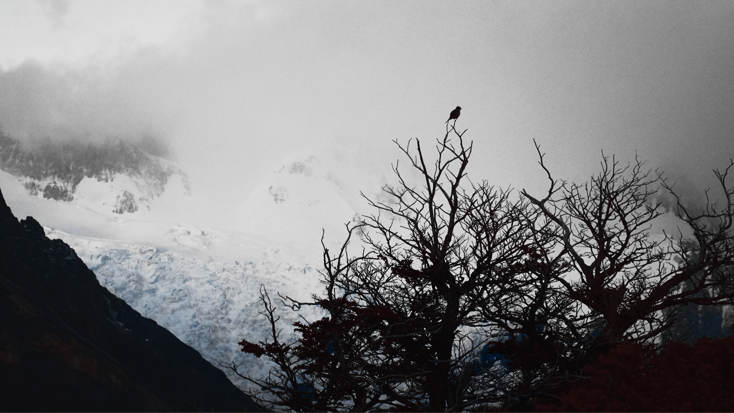 Photographer and Videographer in Buenos Aires | Visual NV