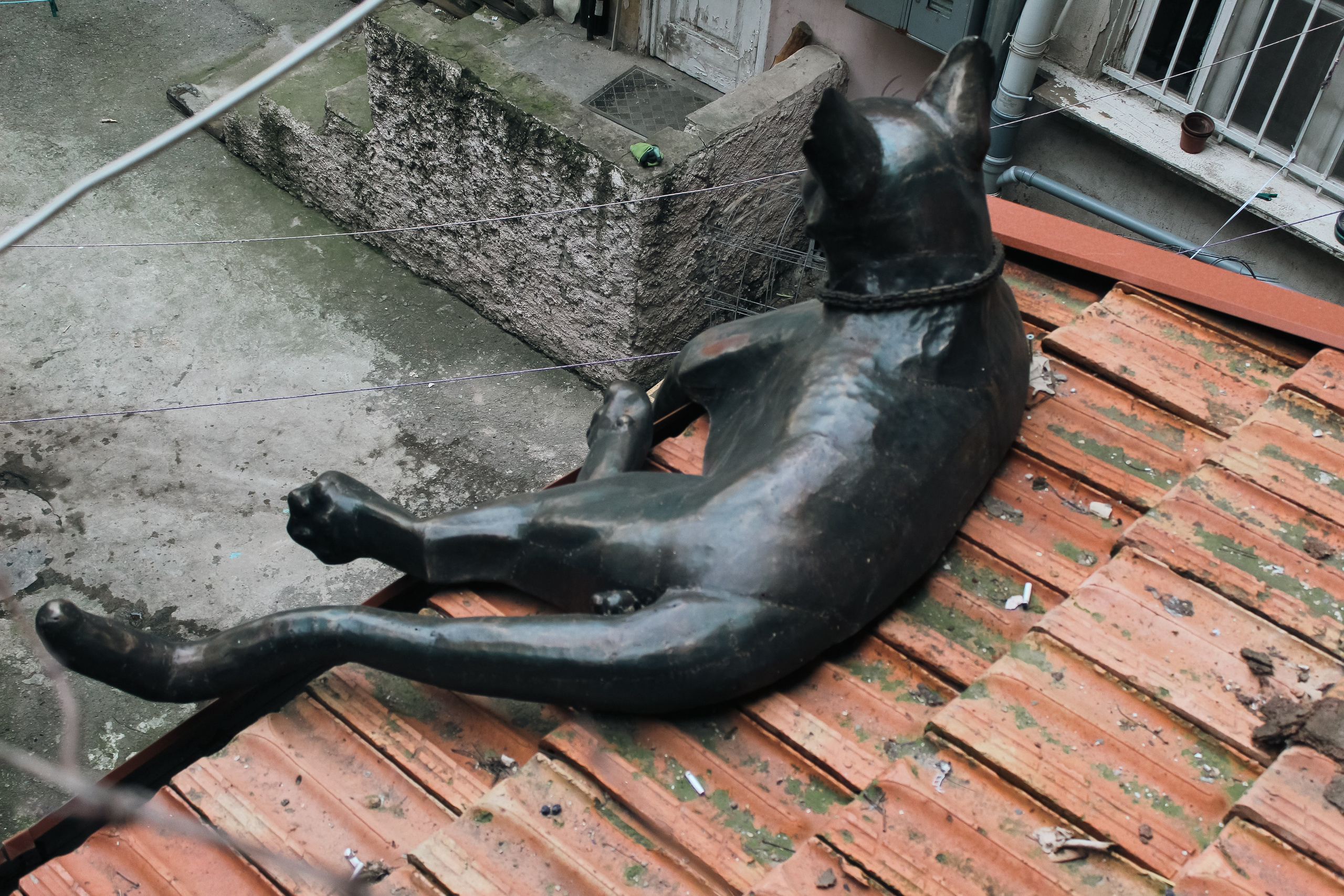 Postcards for Grandma. Stanislava Novgorodtseva — Photographer | Visual Artist | Educator