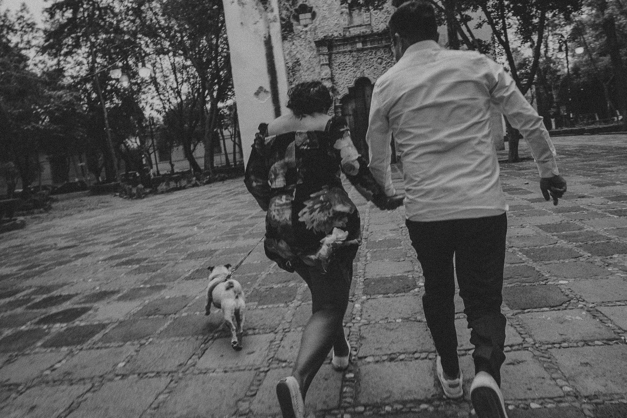 Pam & Cesar. Wedding and family photographer in Mexico City