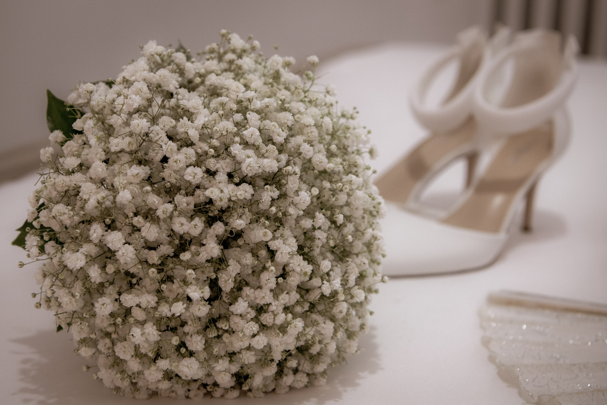 Monika & Darius. Pro Studio Photo & Video Team