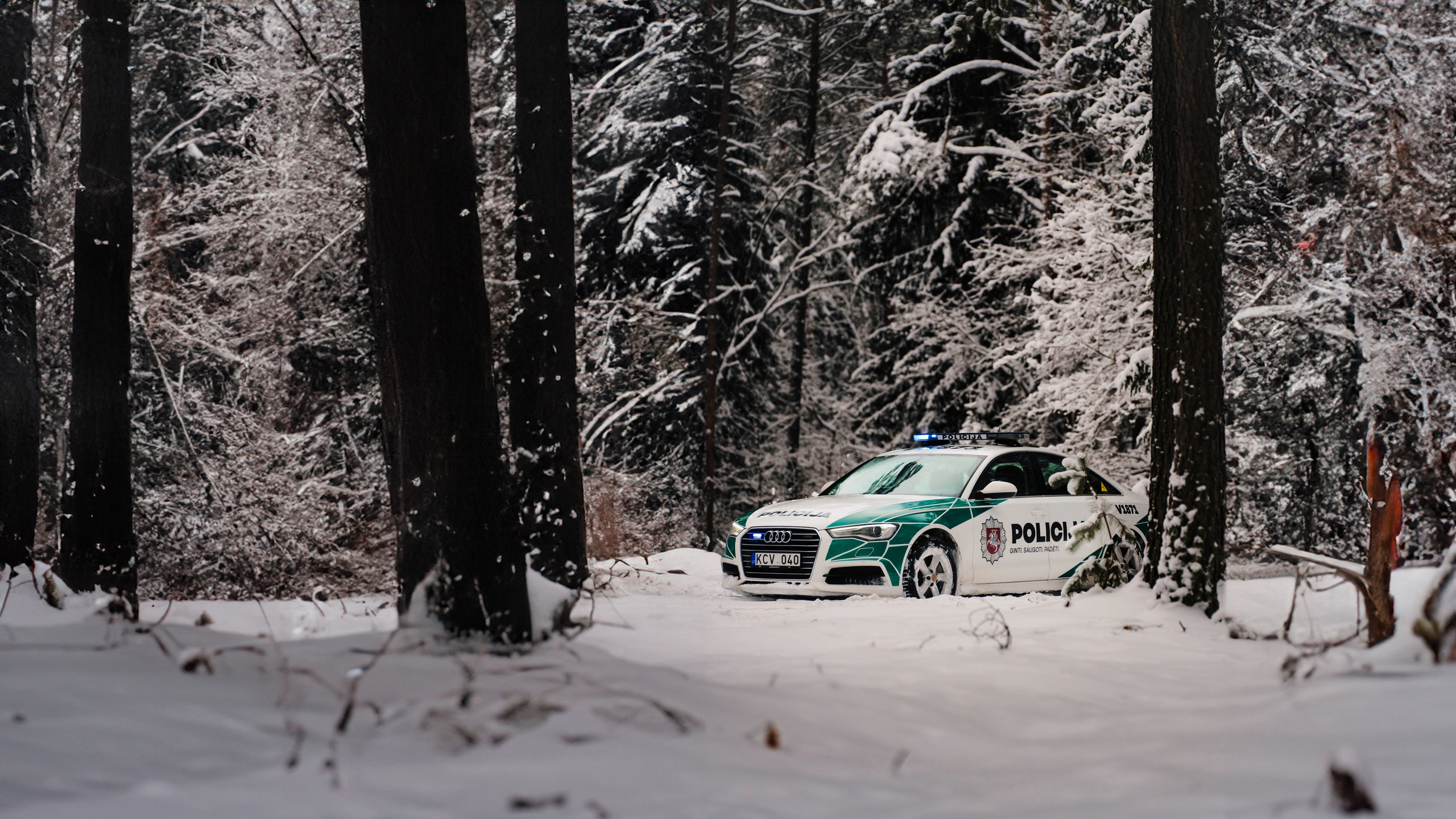 Police Cars. OnePIXEL