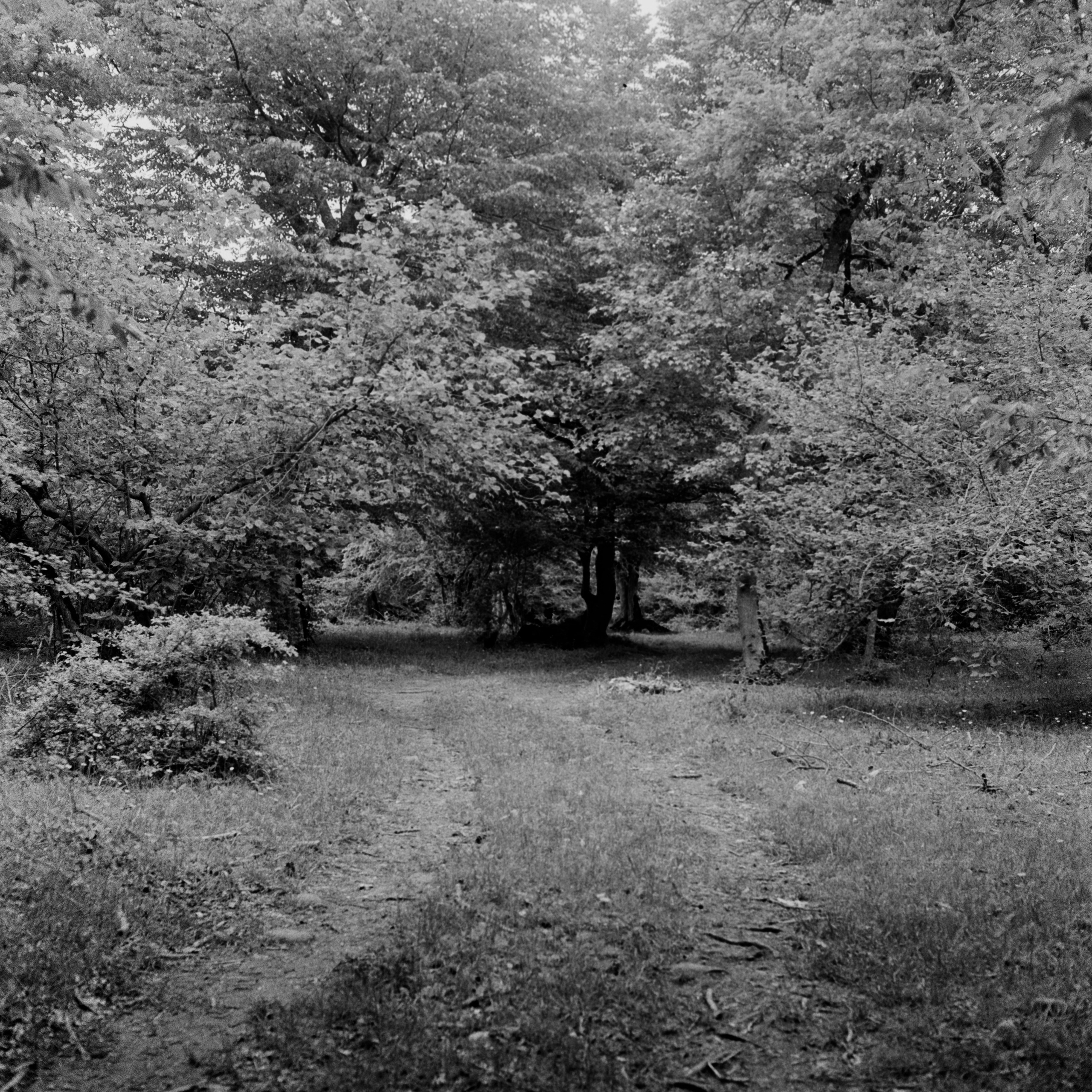 Film. Коммерческий фотограф в Азербайджане Бессонова Анфиса