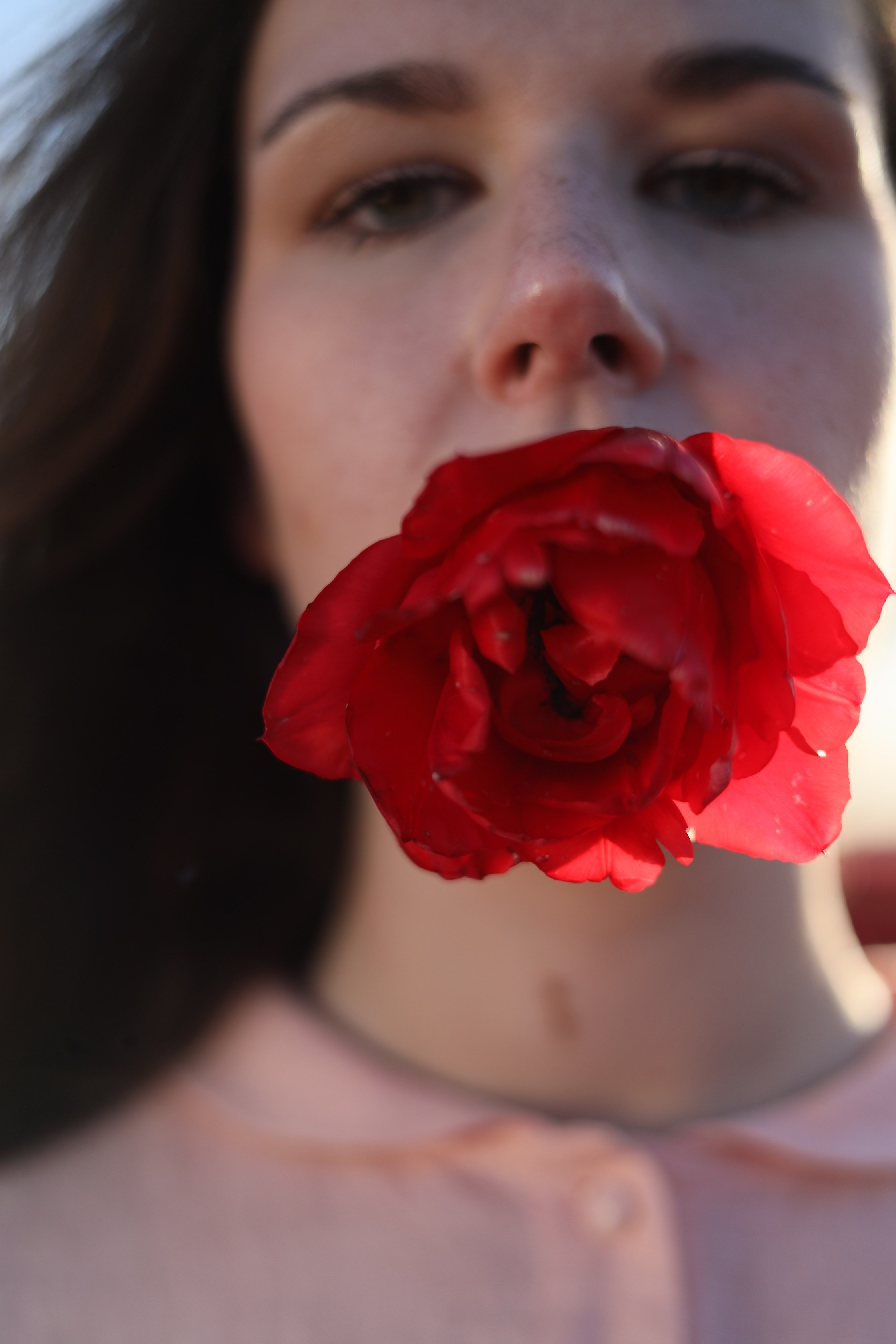Tulip fields. Oxana Kirikidi Photography