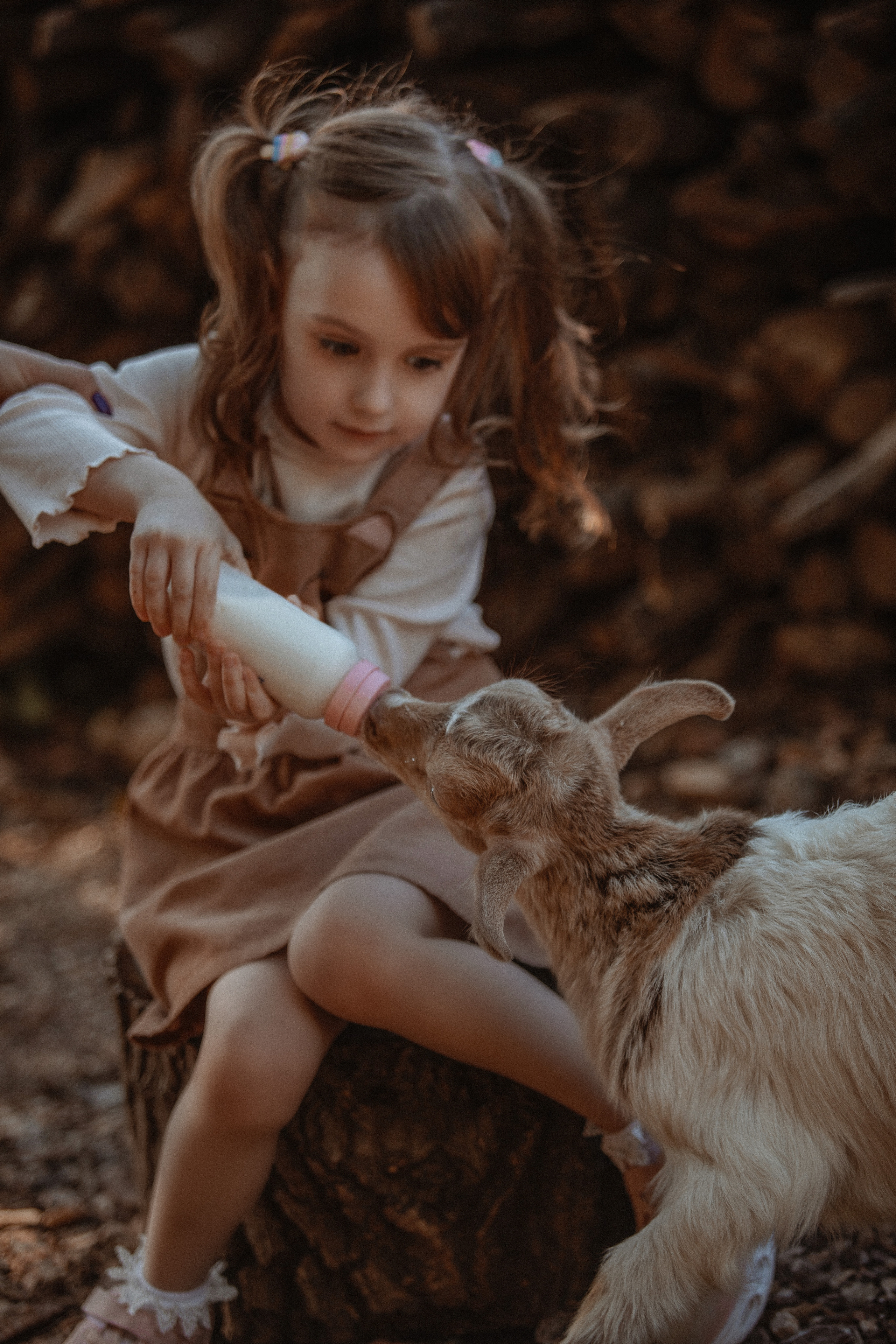 Семейная фотосессия с козлятами. Фотограф в Турции | Алания, Сиде, Белек, Анталия, Кемер)