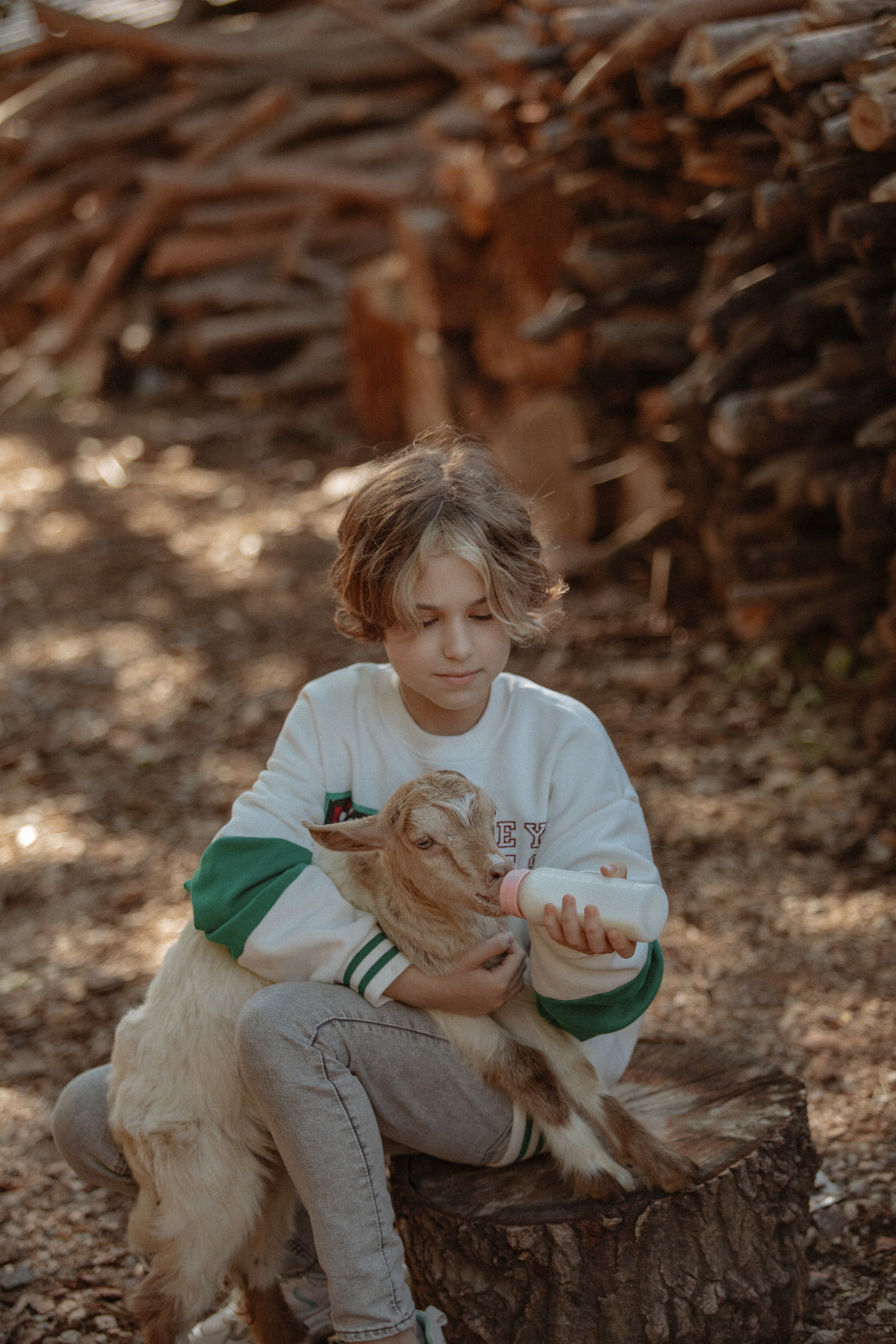 Семейная фотосессия с козлятами. Фотограф в Турции | Алания, Сиде, Белек, Анталия, Кемер)