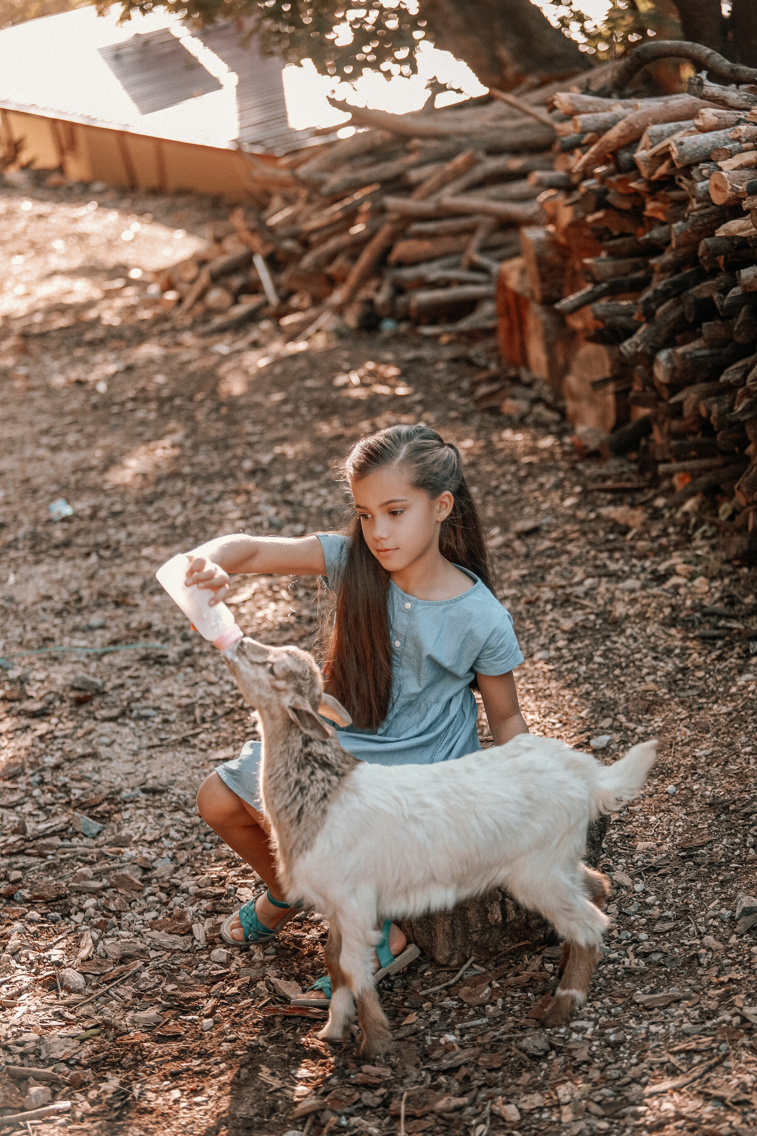 Фотосессия с козленом. Аланья (Турция). Фотограф в Турции | Алания, Сиде, Белек, Анталия, Кемер)