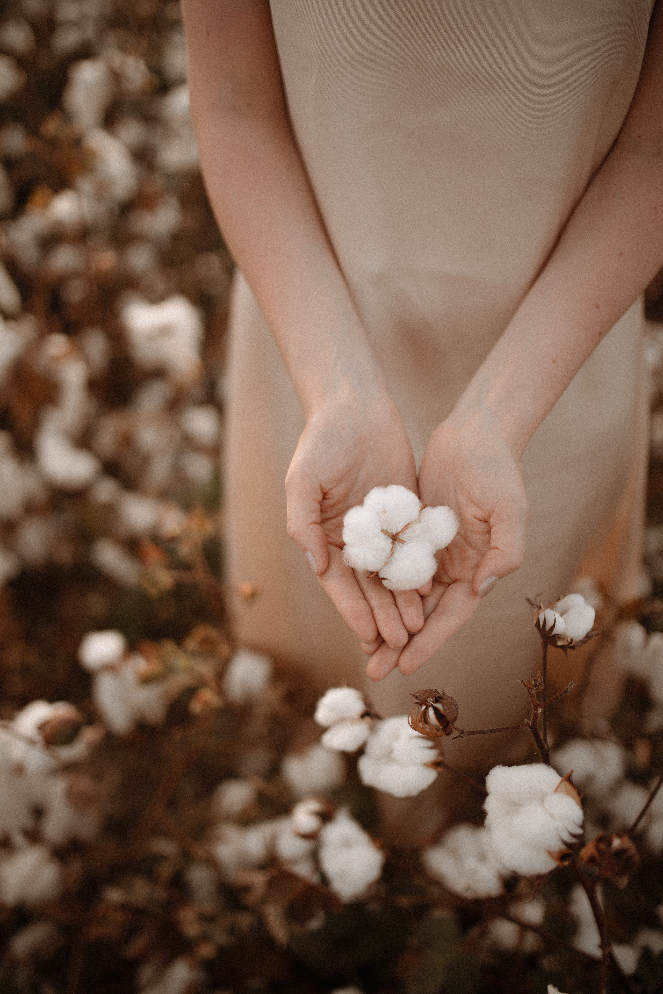 Семейная фотосессия в хлопковом поле. Фотограф в Турции | Алания, Сиде, Белек, Анталия, Кемер)