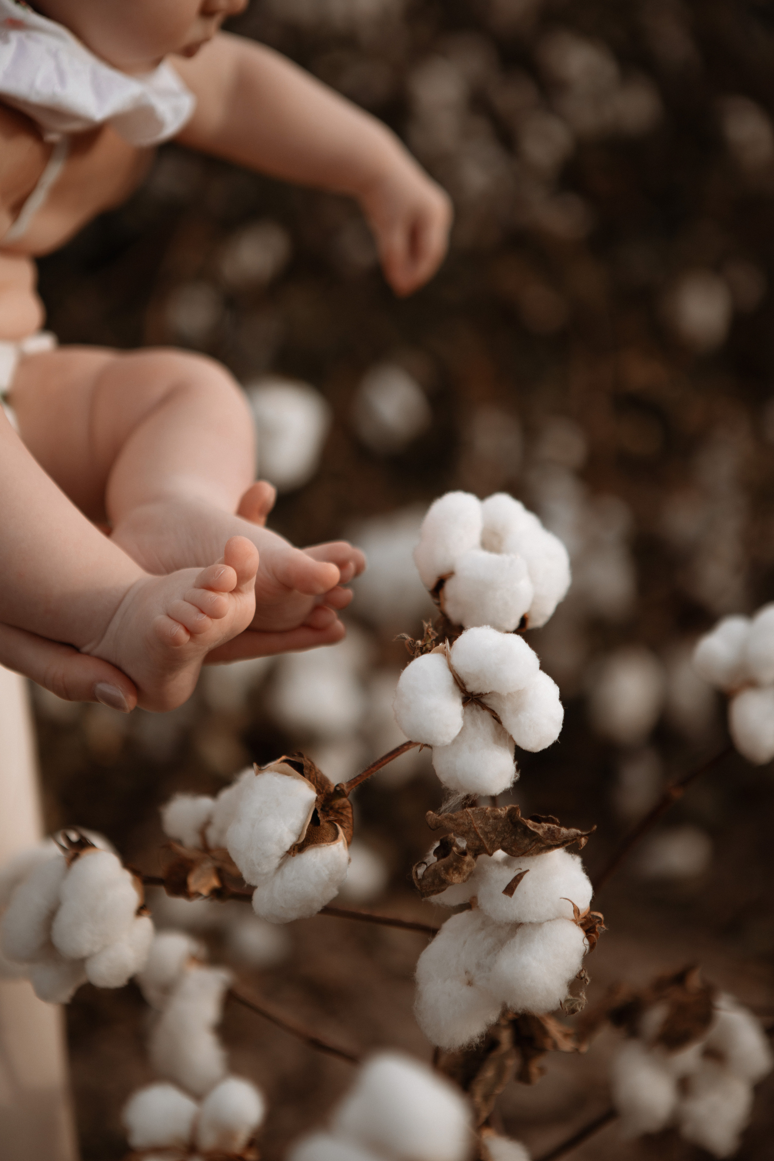 Семейная фотосессия в хлопковом поле. Фотограф в Турции | Алания, Сиде, Белек, Анталия, Кемер)