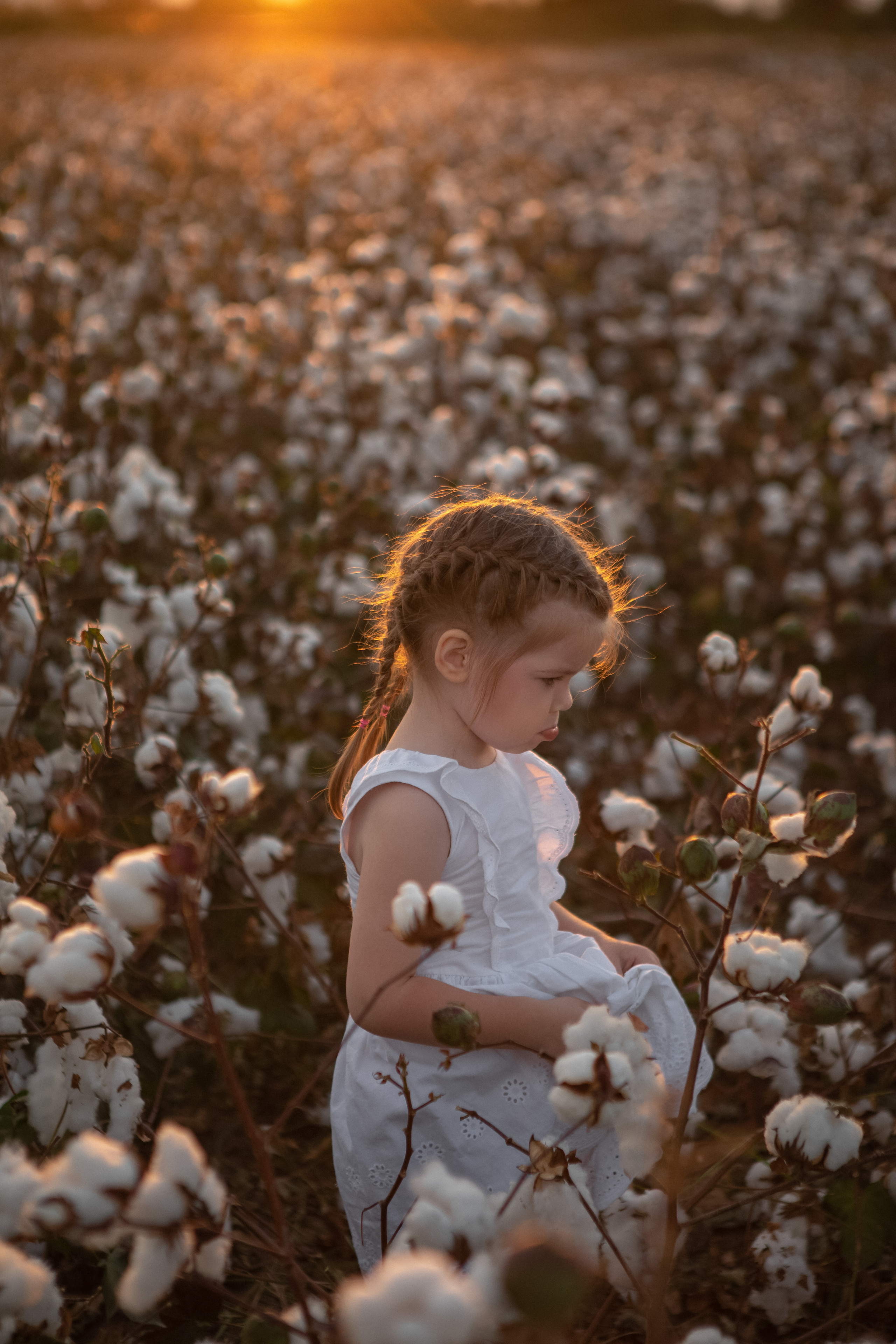 Семейная фотосессия в хлопковом поле. Фотограф в Турции | Алания, Сиде, Белек, Анталия, Кемер)
