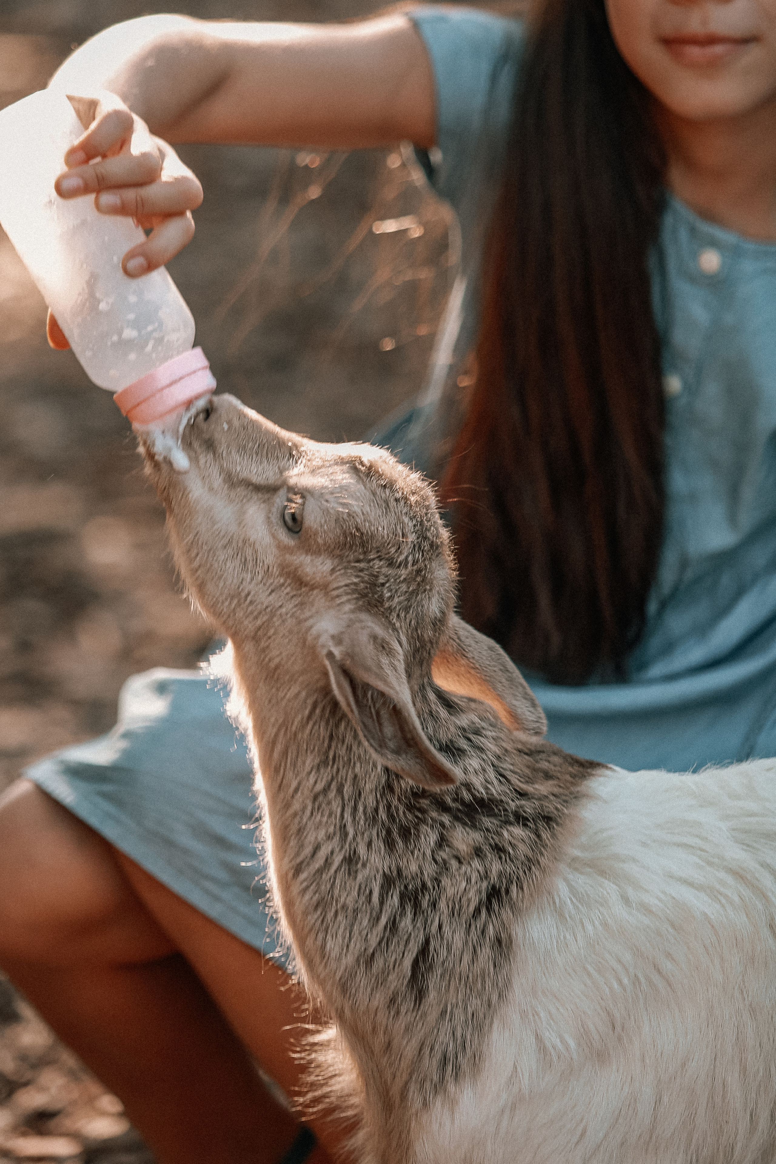 Фотосессия с козленом. Аланья (Турция). Фотограф в Турции | Алания, Сиде, Белек, Анталия, Кемер)