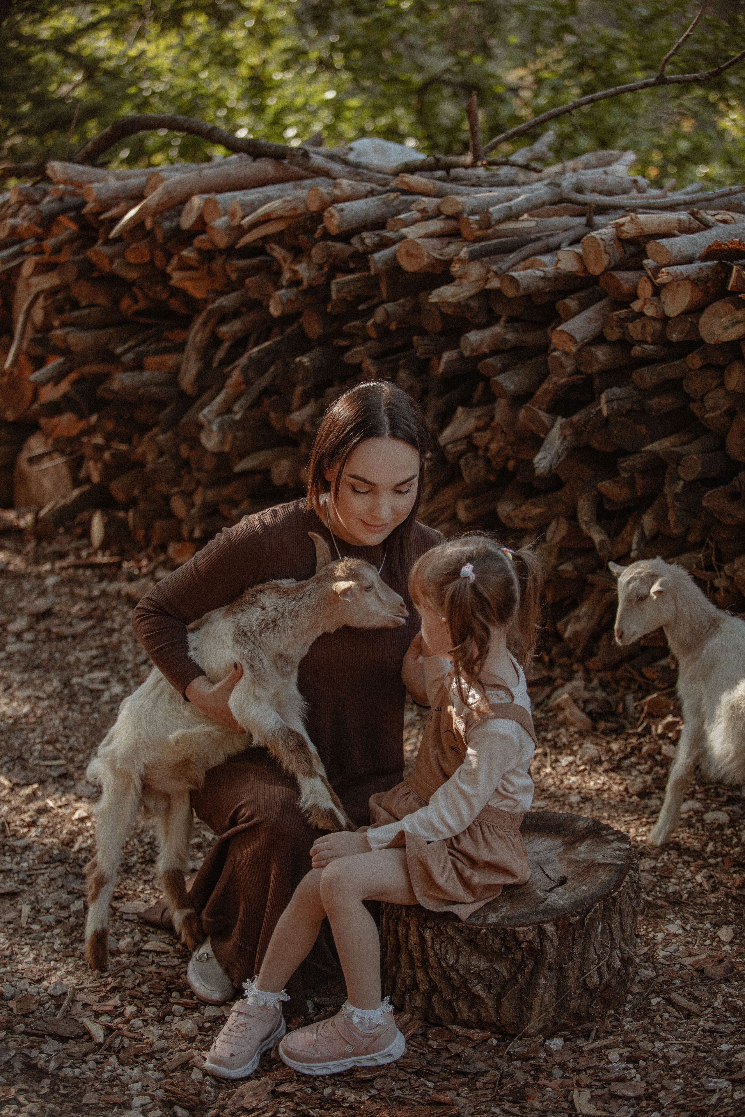 Семейная фотосессия с козлятами. Фотограф в Турции | Алания, Сиде, Белек, Анталия, Кемер)