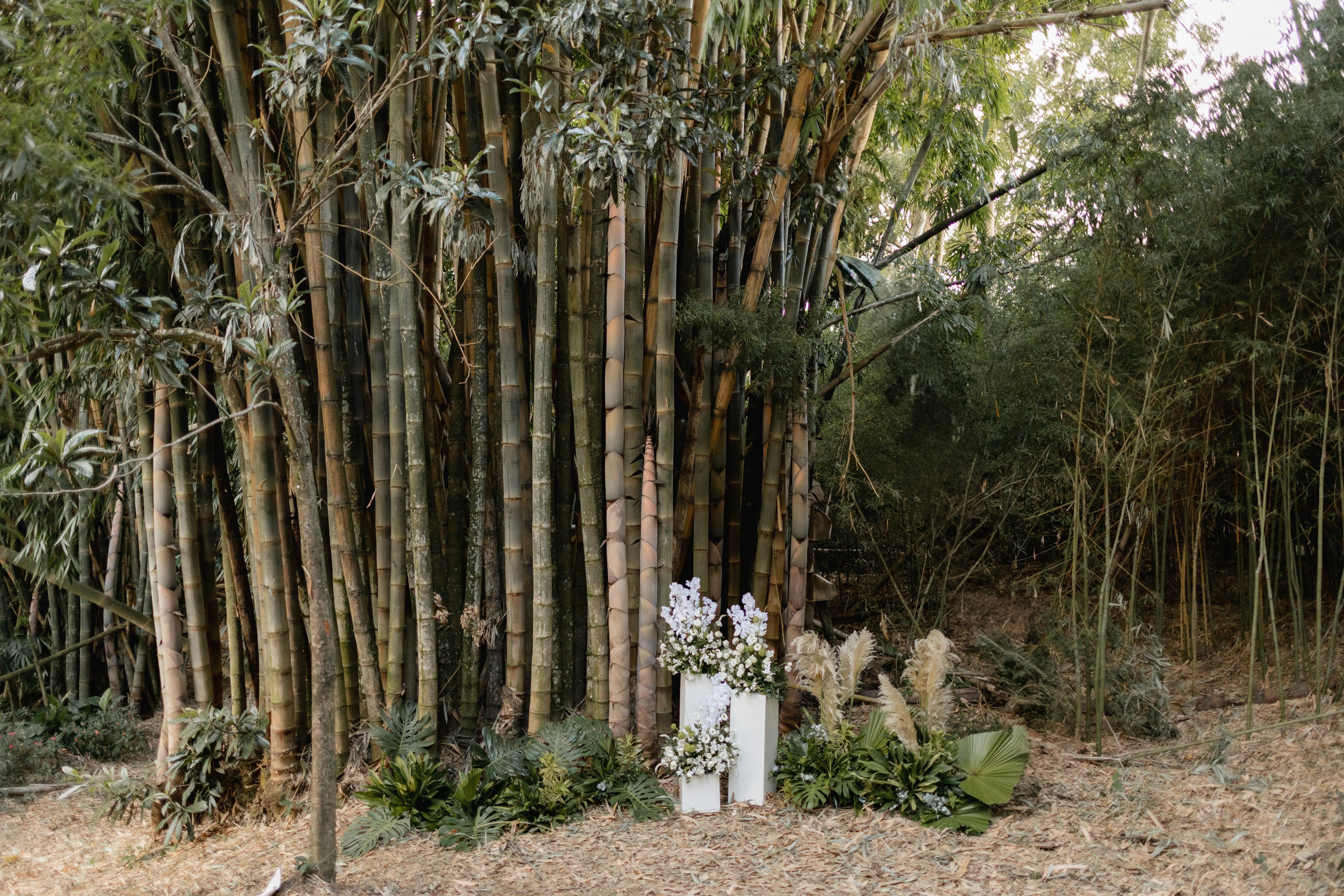 Editorial Dom Brunello