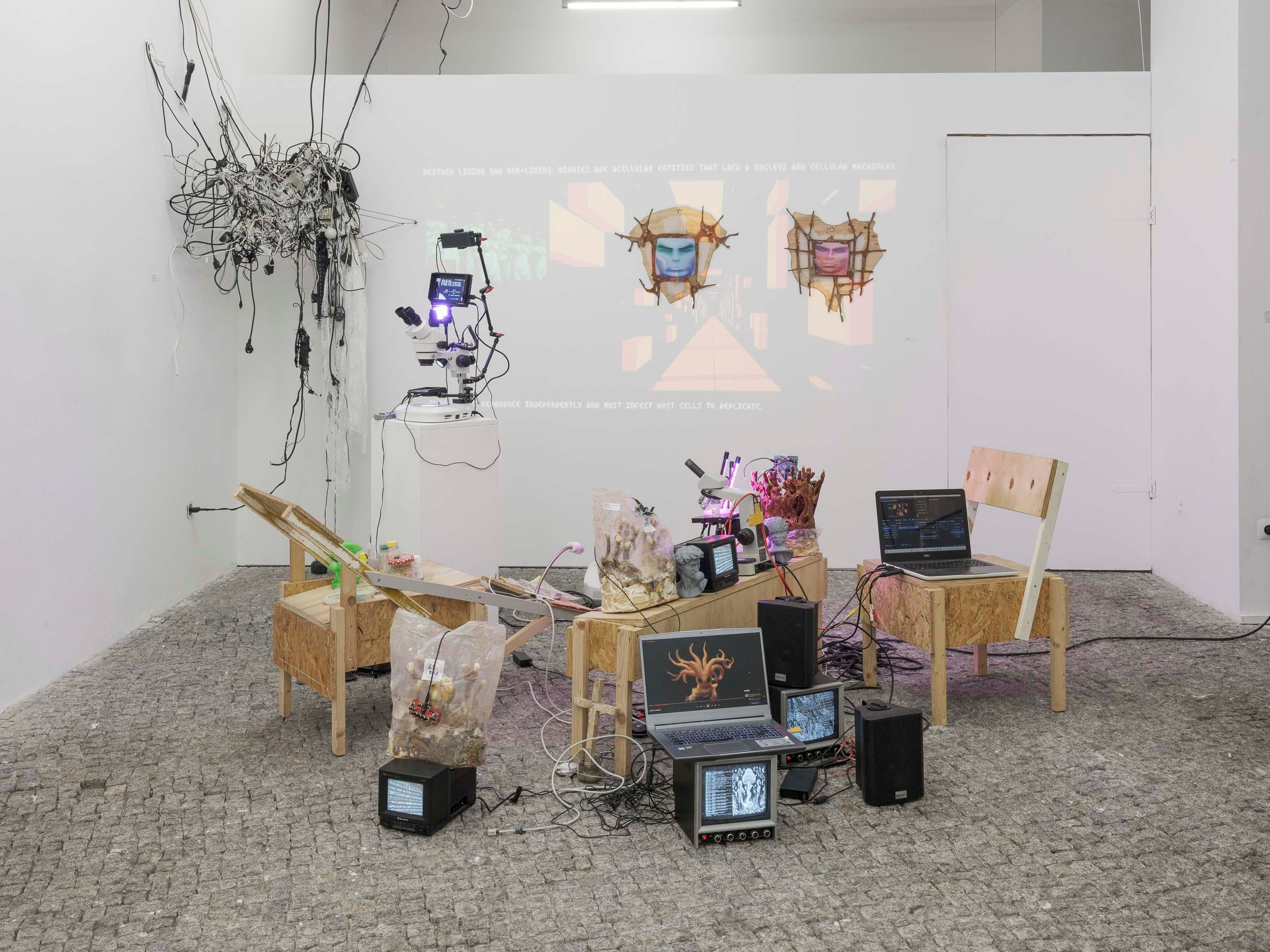 Kagurumi. Photographer Viktor Nikishov