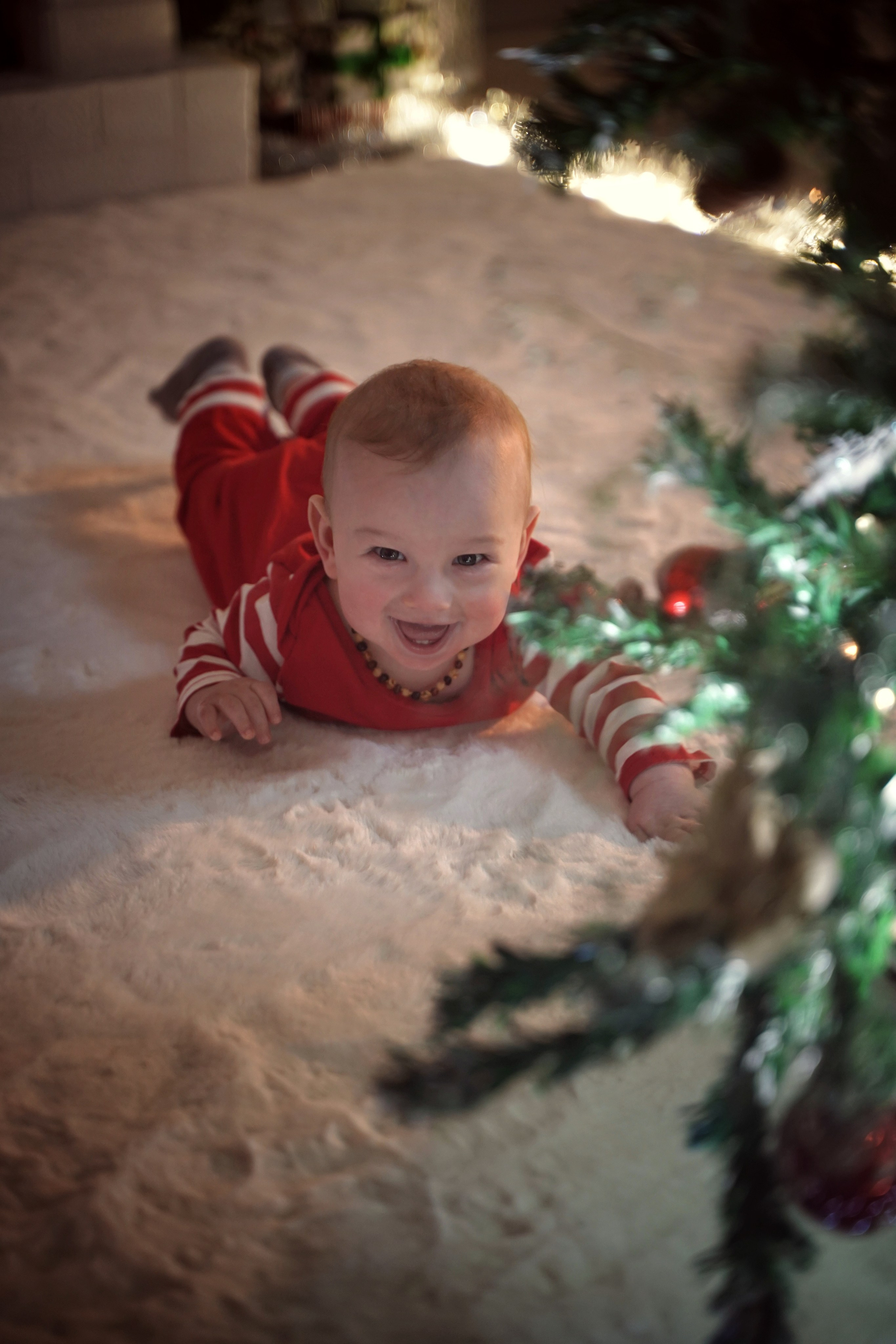 Гномик под елочкой. Фотограф. Визуал. Хайфа. Талья Цветкова