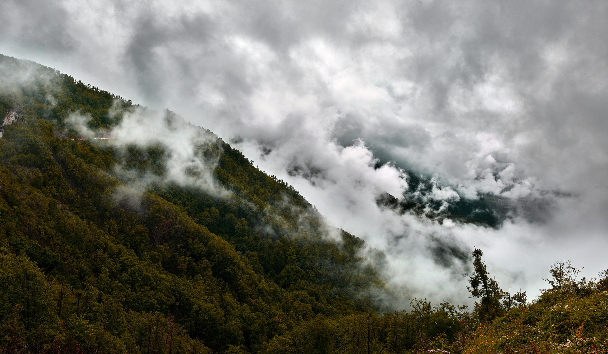 Commercial and studio photographer in Belgrade