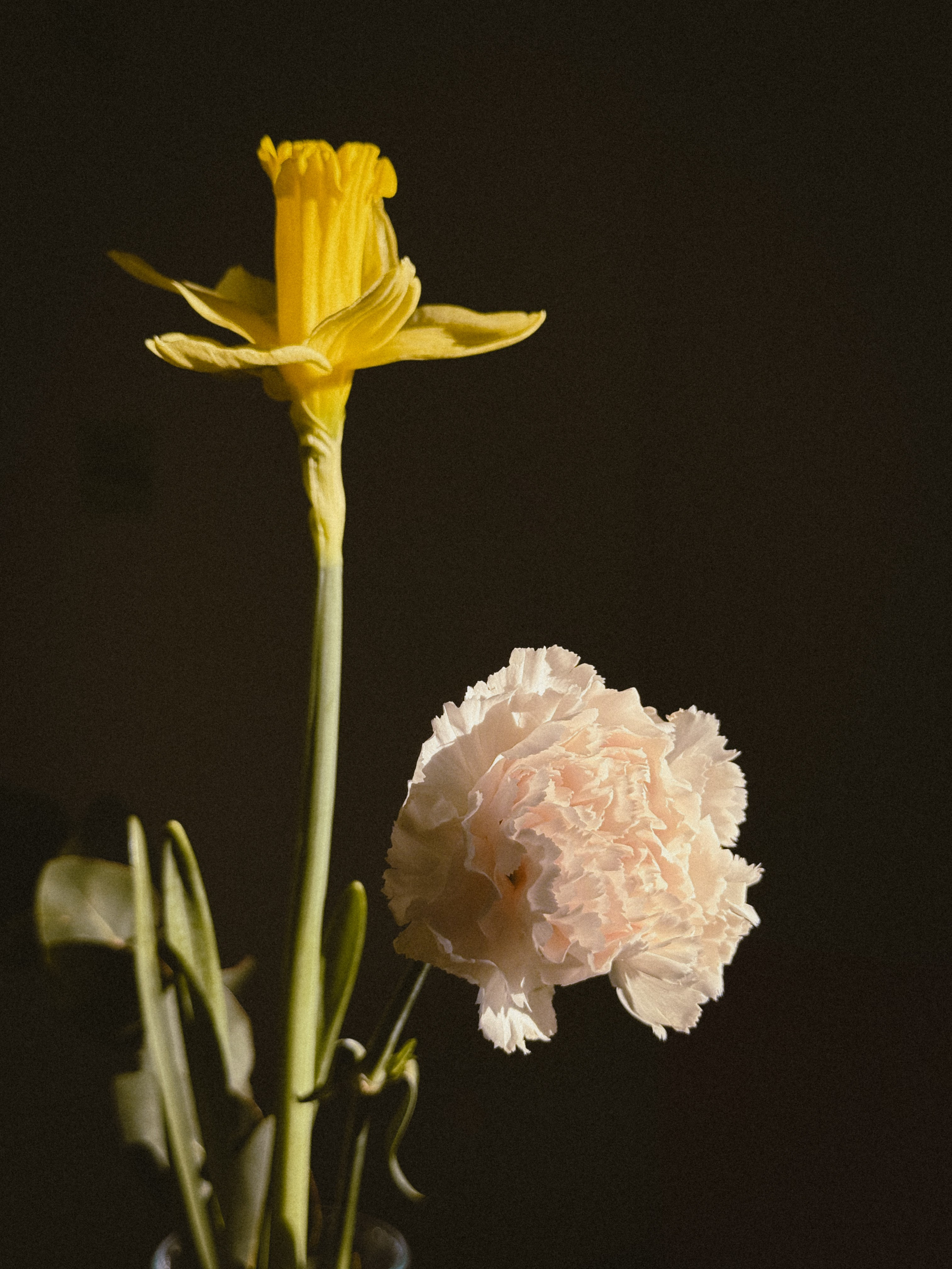 Мобильная съемка. Анастасия Еремина | Фотограф в Сербии | Персональные и бизнес-фотосессии в Белграде и Нови Саде