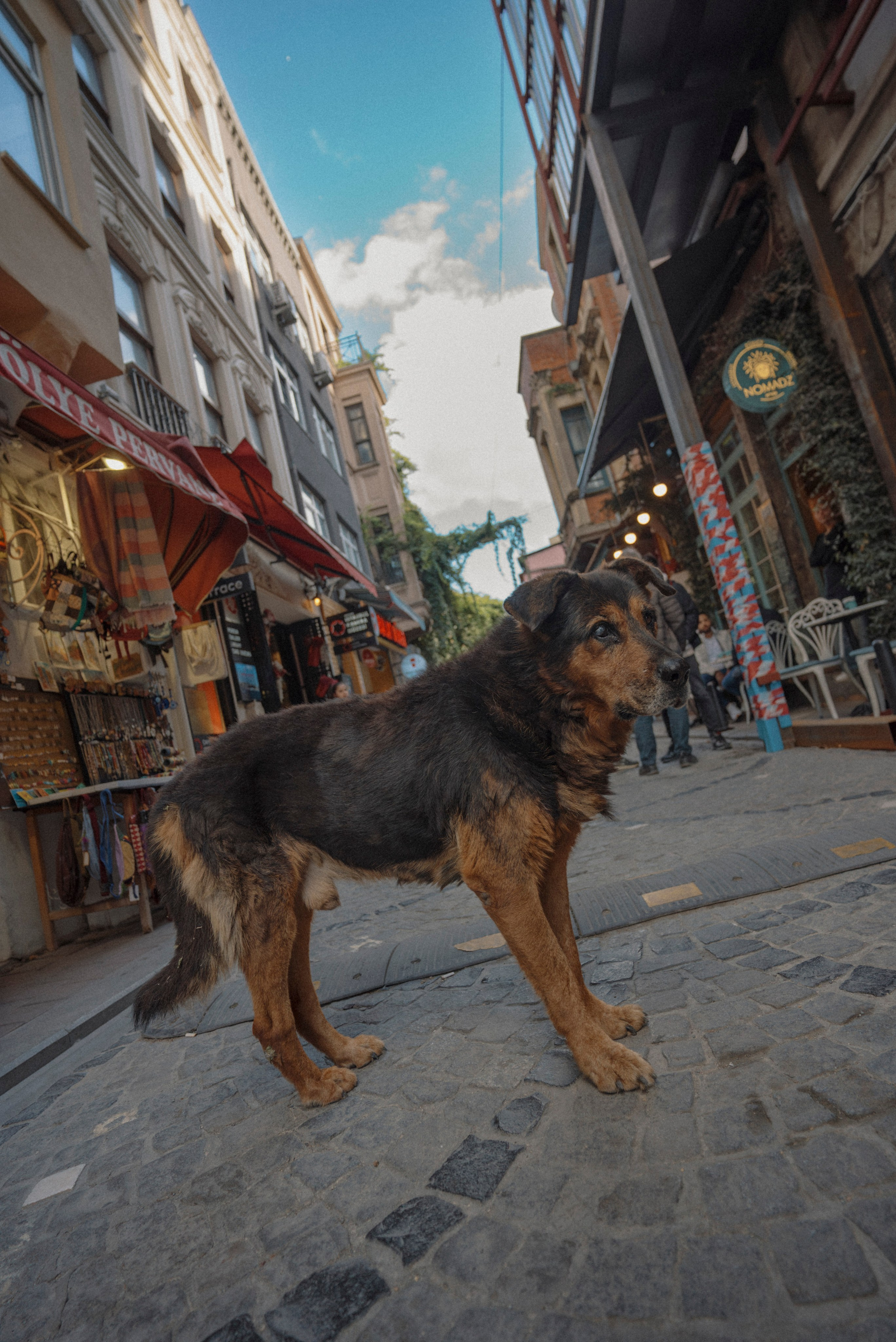 СТАМБУЛ. Стрит-фотография, полная абсурда, идиотизма и красоты