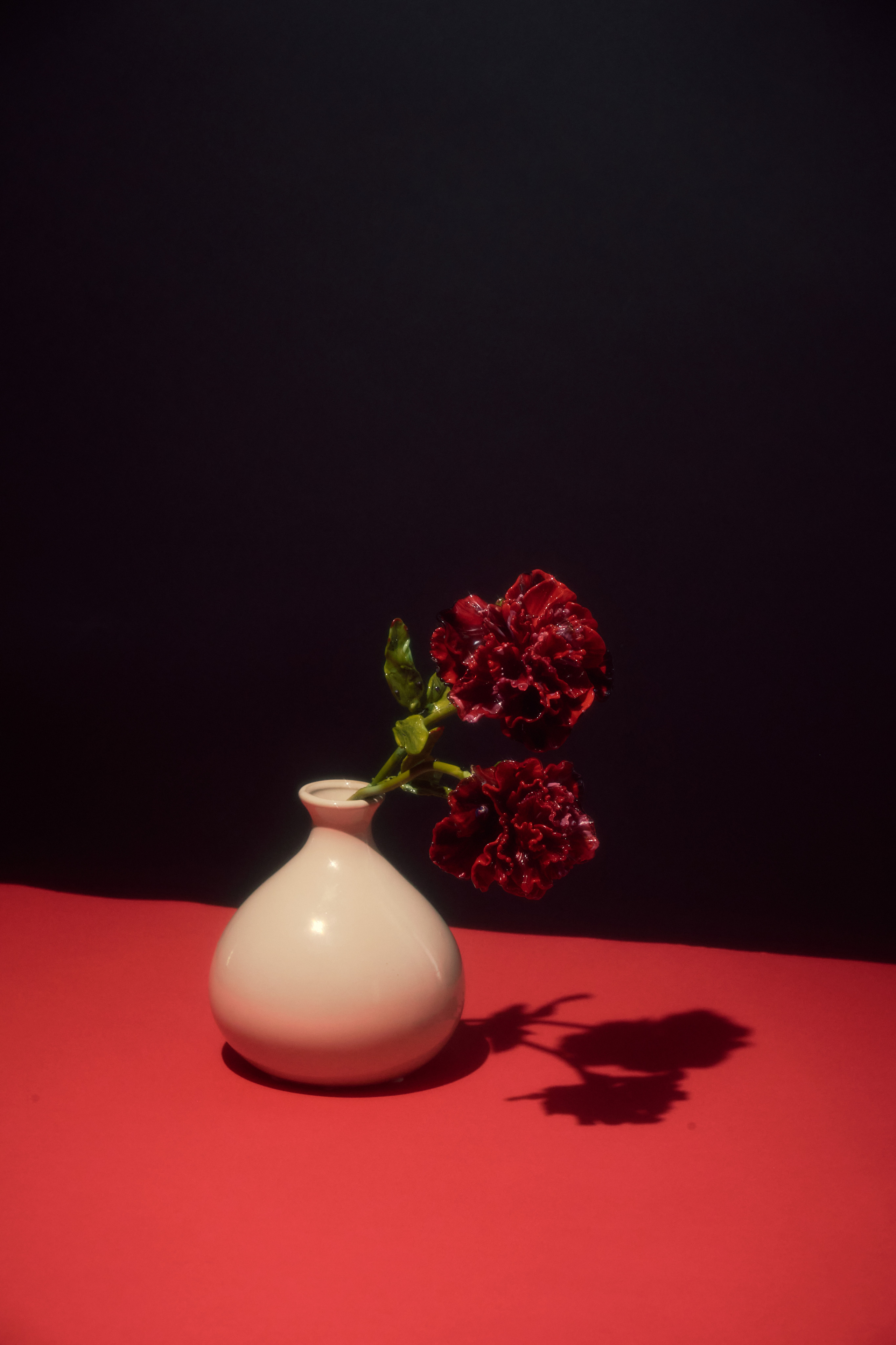 Vorobeva Glass Flowers. Commercial fashion photographer based in Turkey and Europe