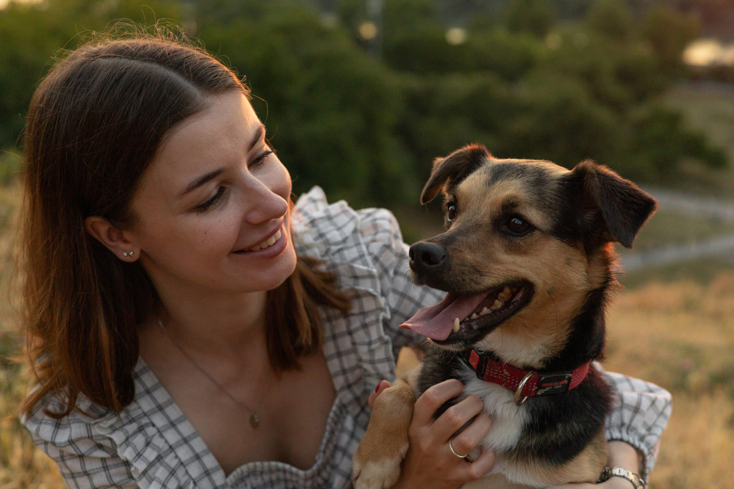 Настя, Денис и Мося. Фотограф-анималист | Белград