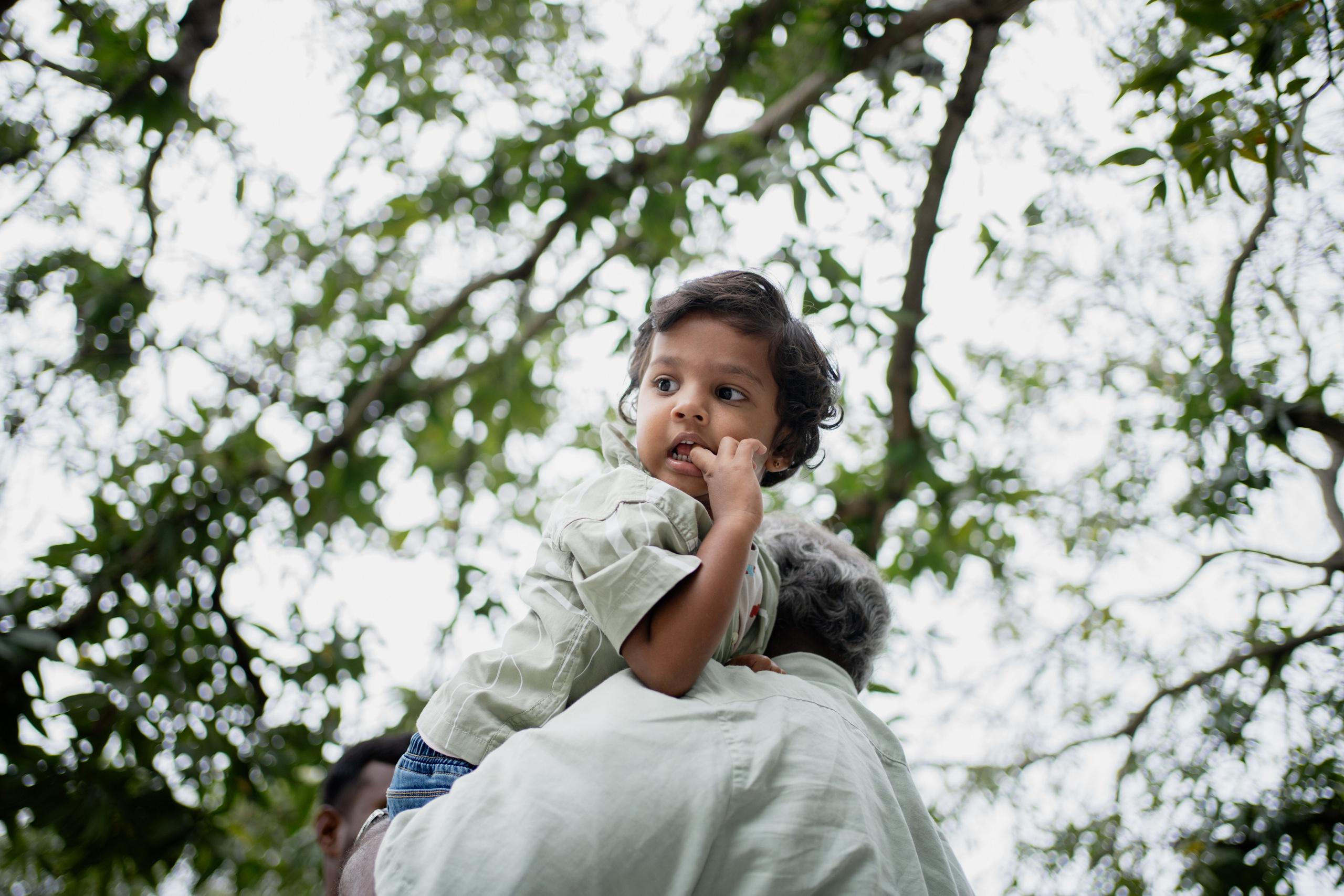 Theesan Raavanan. Menu