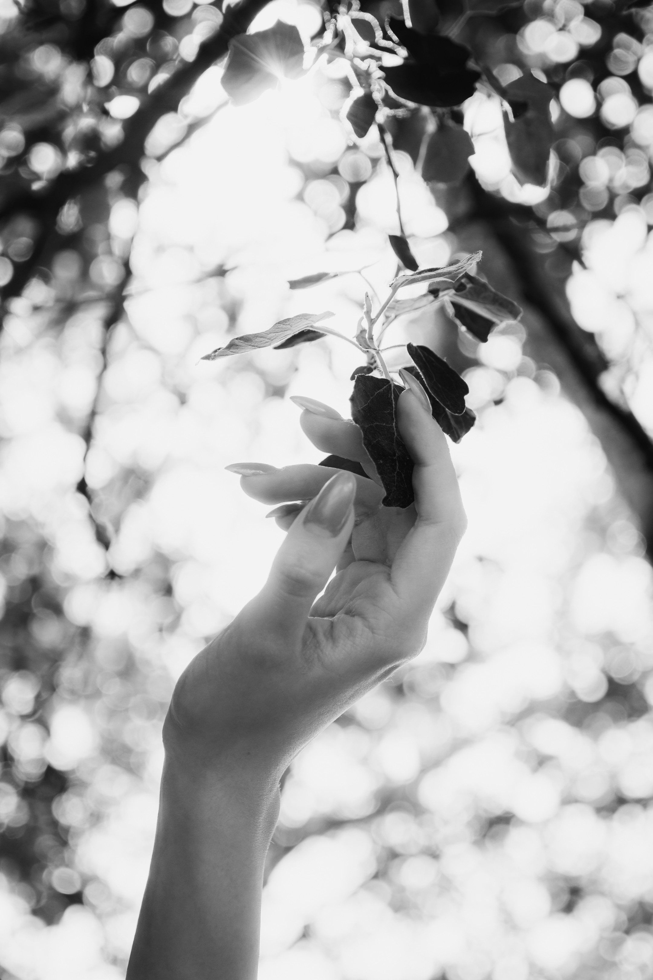 Alone girl (Stasja). Nebula 25 — Fotod teie hingele