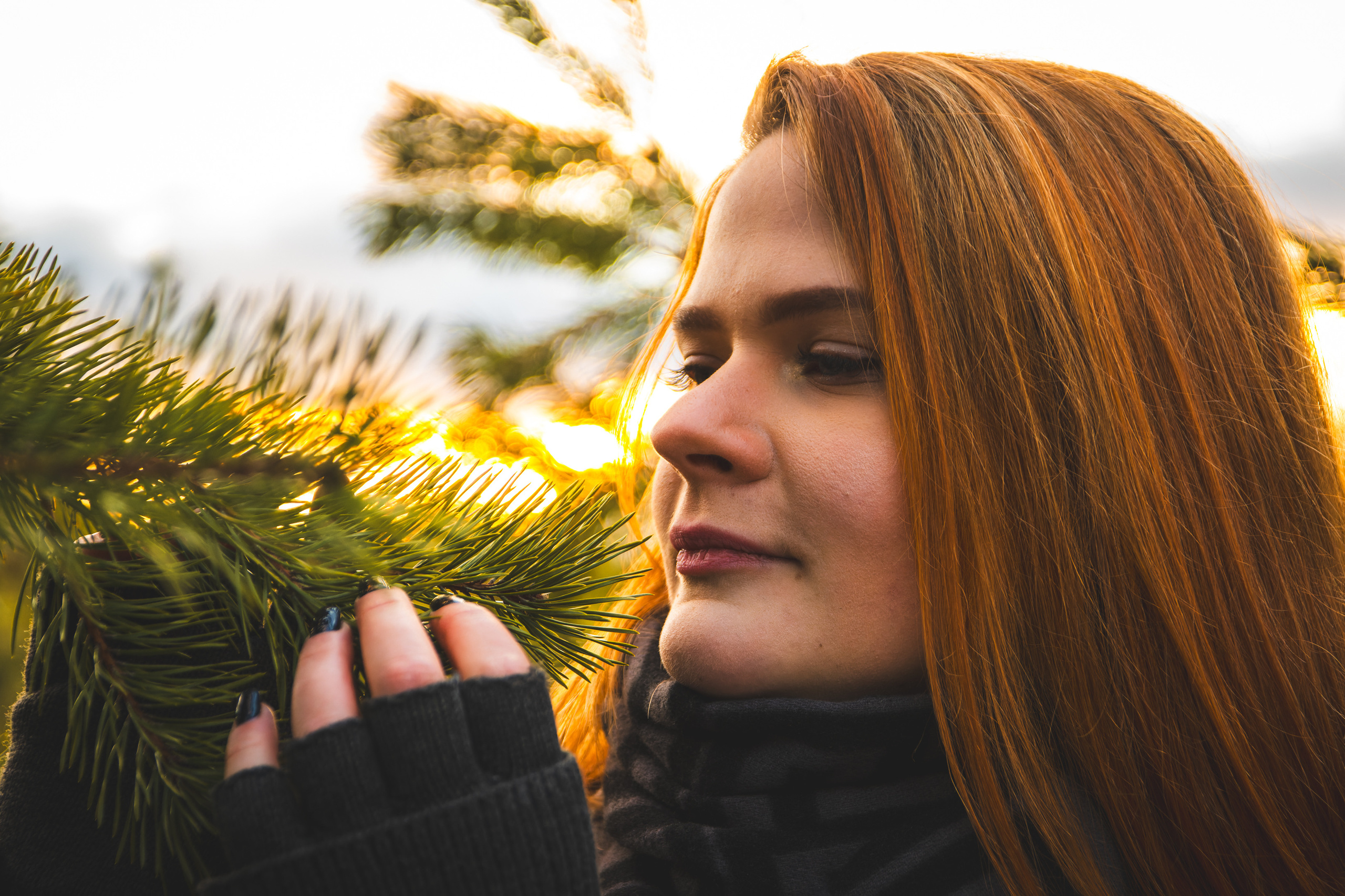 Kaunis hing (Sofija). Nebula 25 — Fotod teie hingele