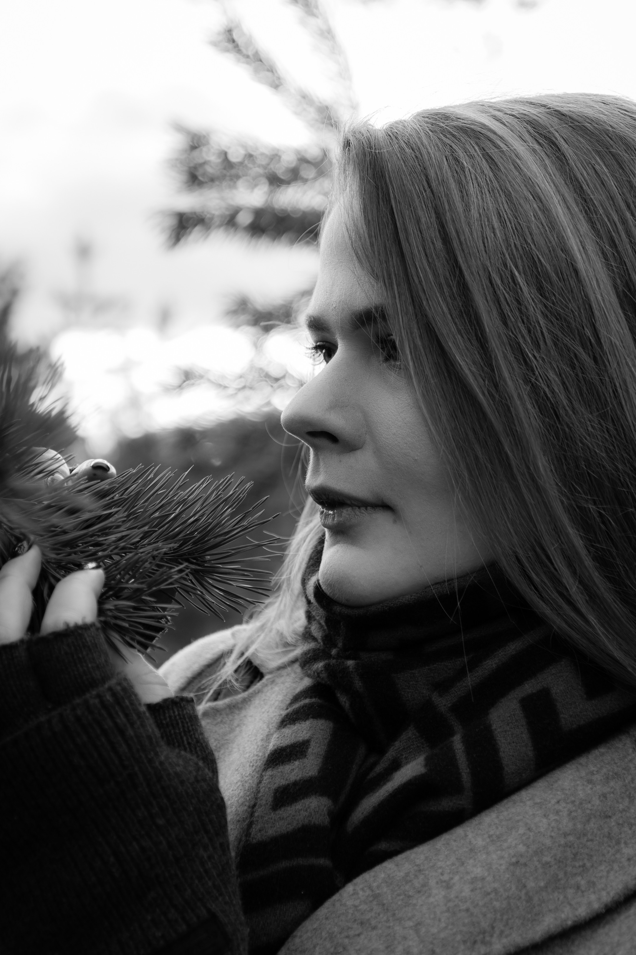 Kaunis hing (Sofija). Nebula 25 — Fotod teie hingele