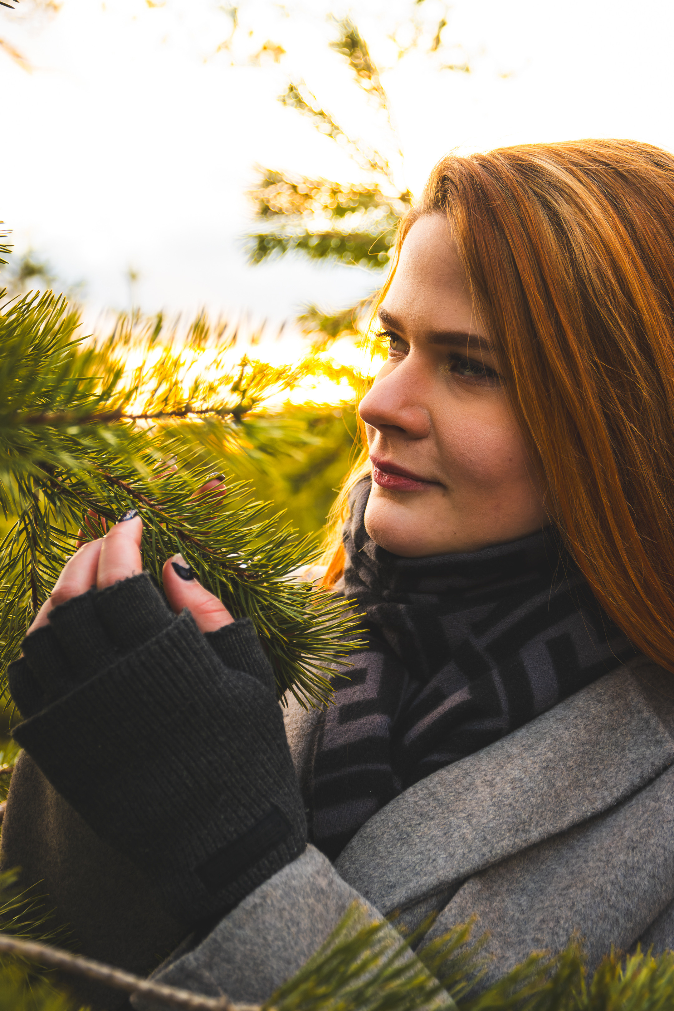 Kaunis hing (Sofija). Nebula 25 — Fotod teie hingele
