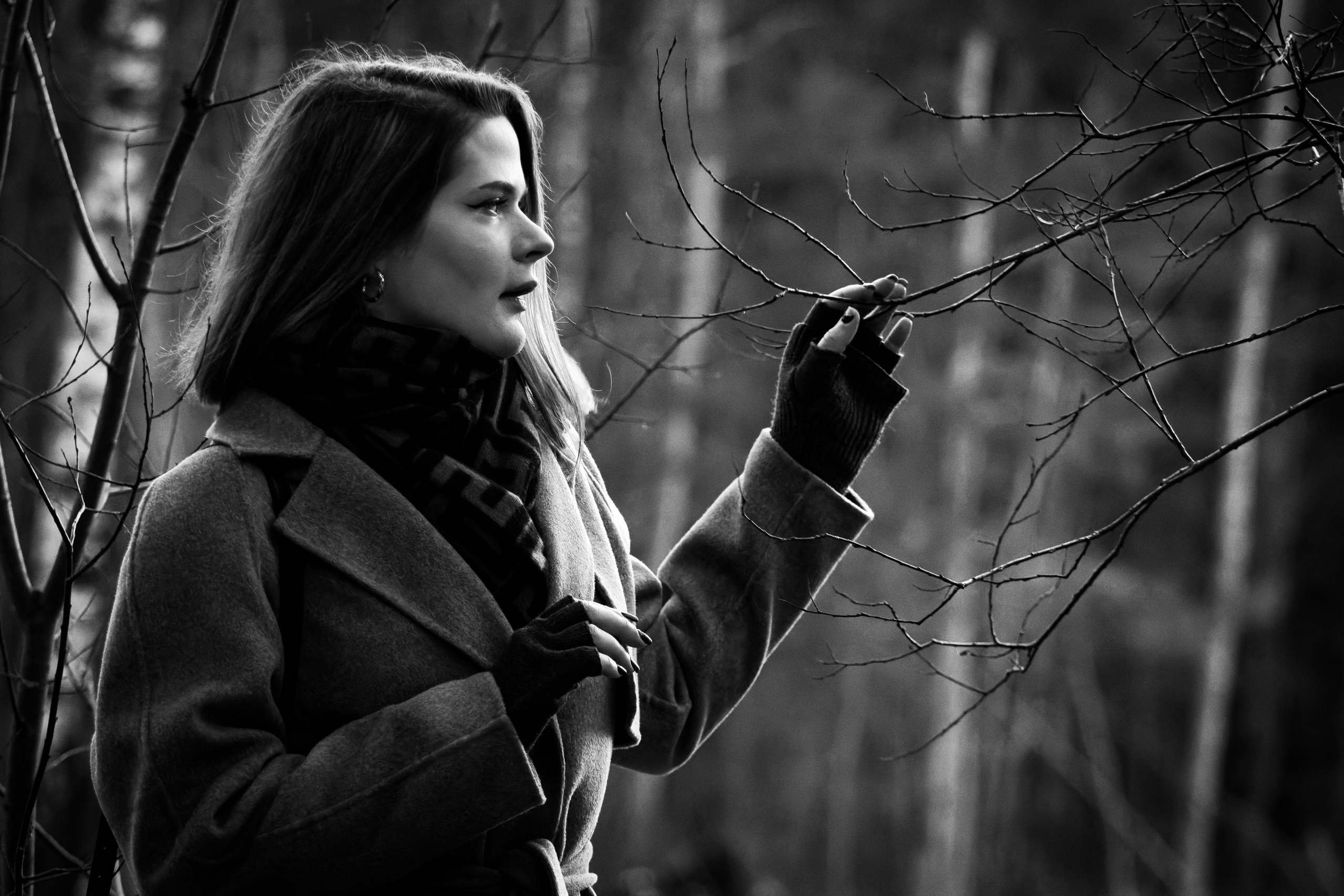 Kaunis hing (Sofija). Nebula 25 — Fotod teie hingele