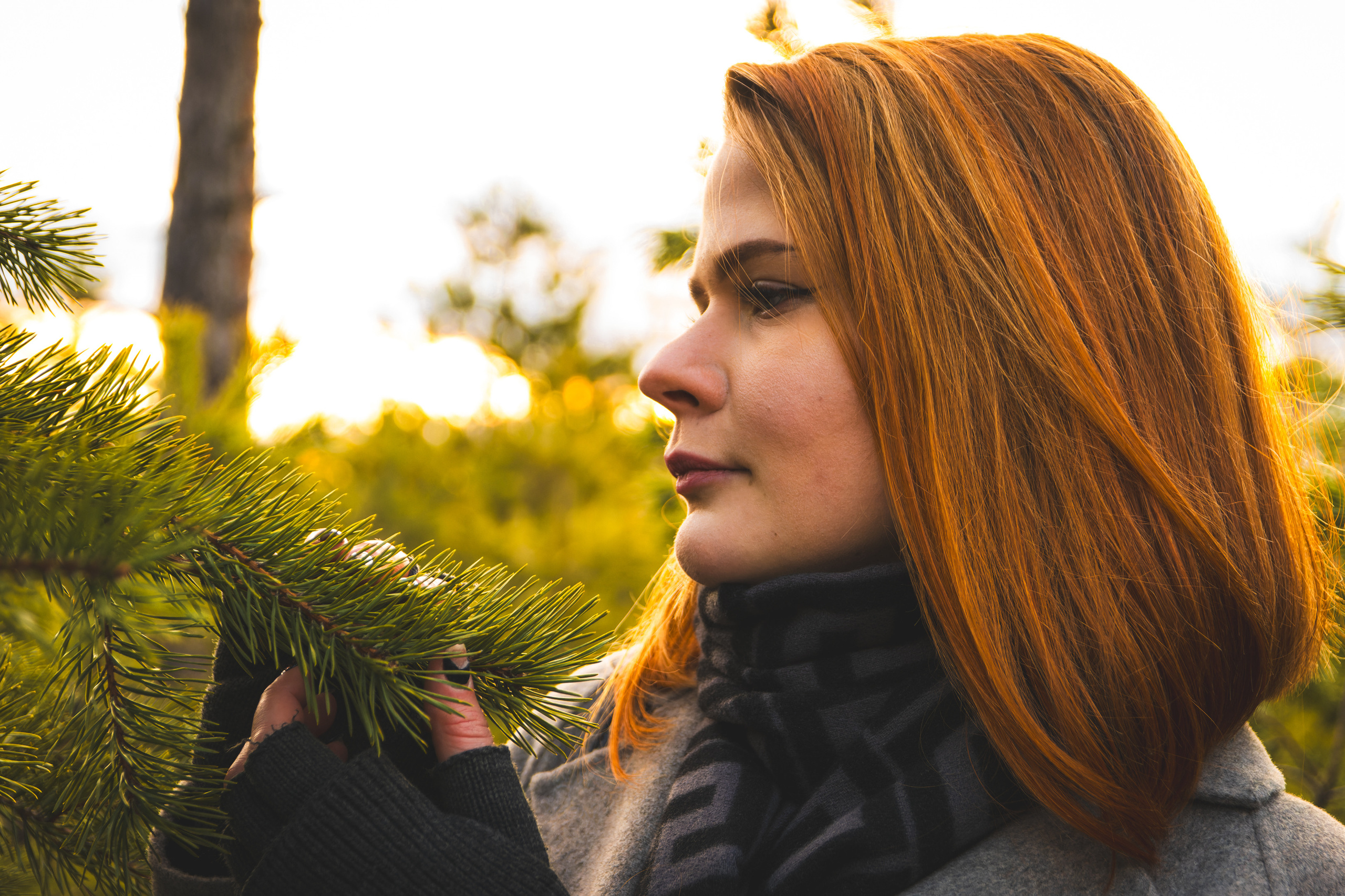 Kaunis hing (Sofija). Nebula 25 — Fotod teie hingele