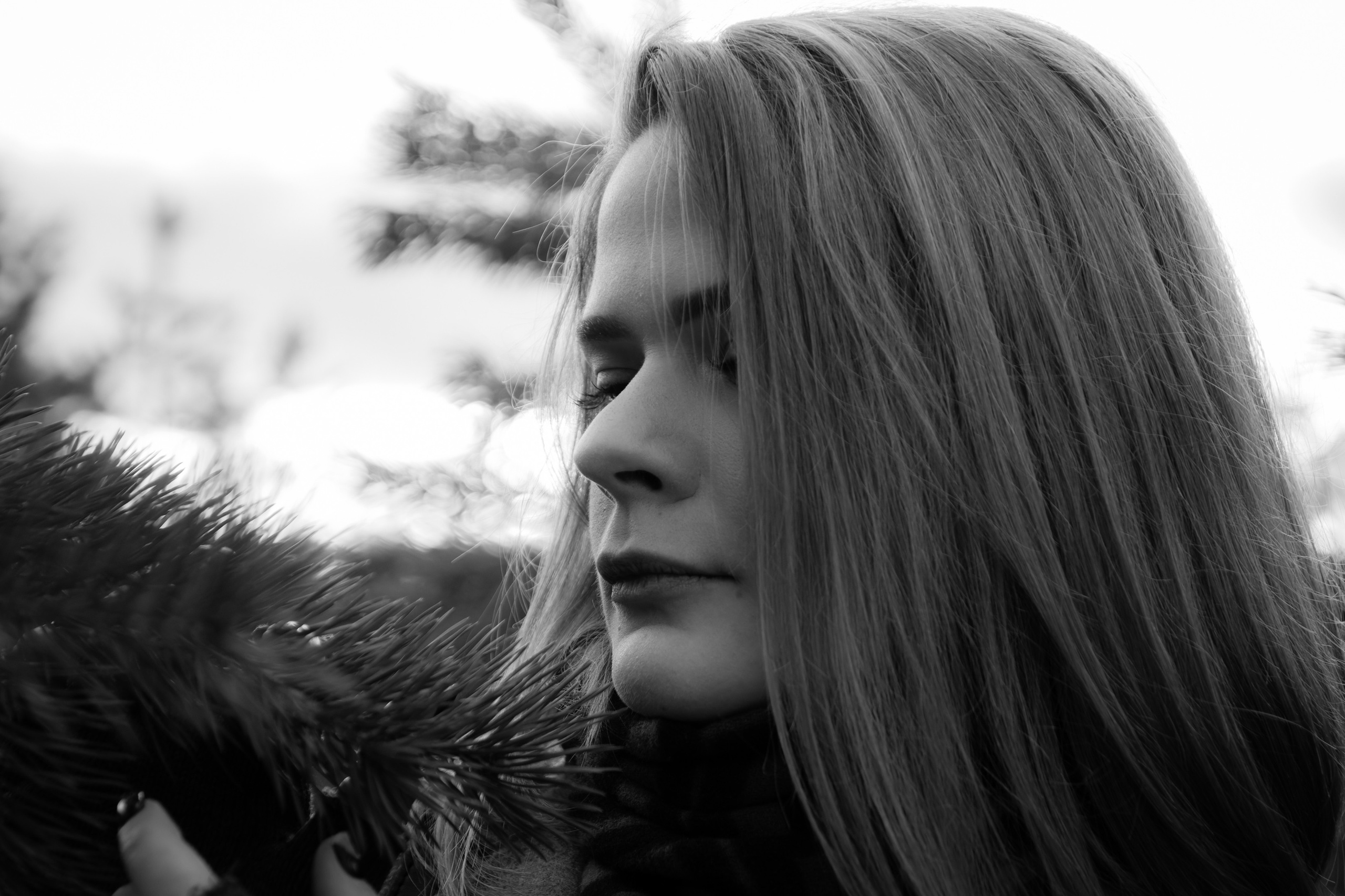 Kaunis hing (Sofija). Nebula 25 — Fotod teie hingele