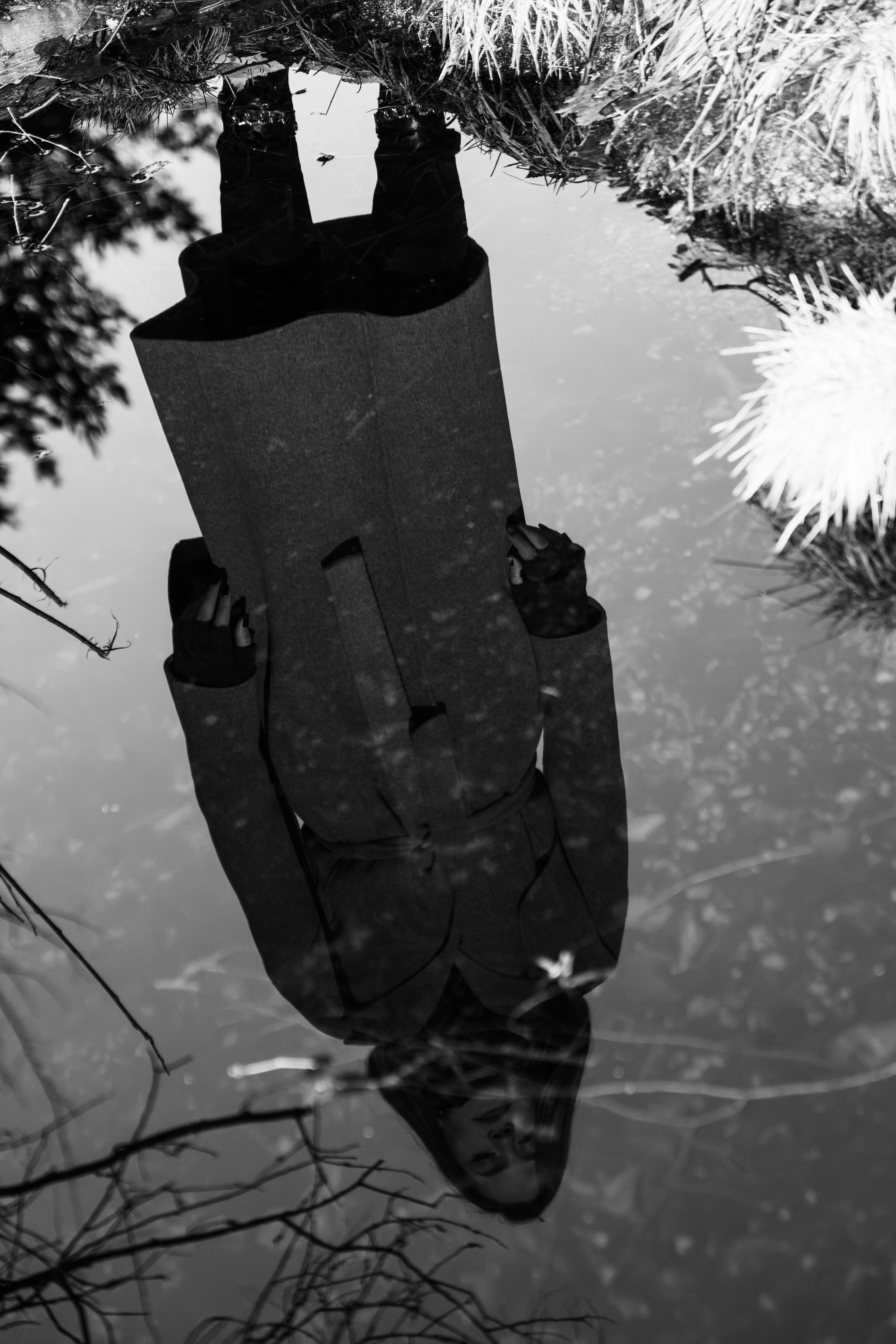 Kaunis hing (Sofija). Nebula 25 — Fotod teie hingele