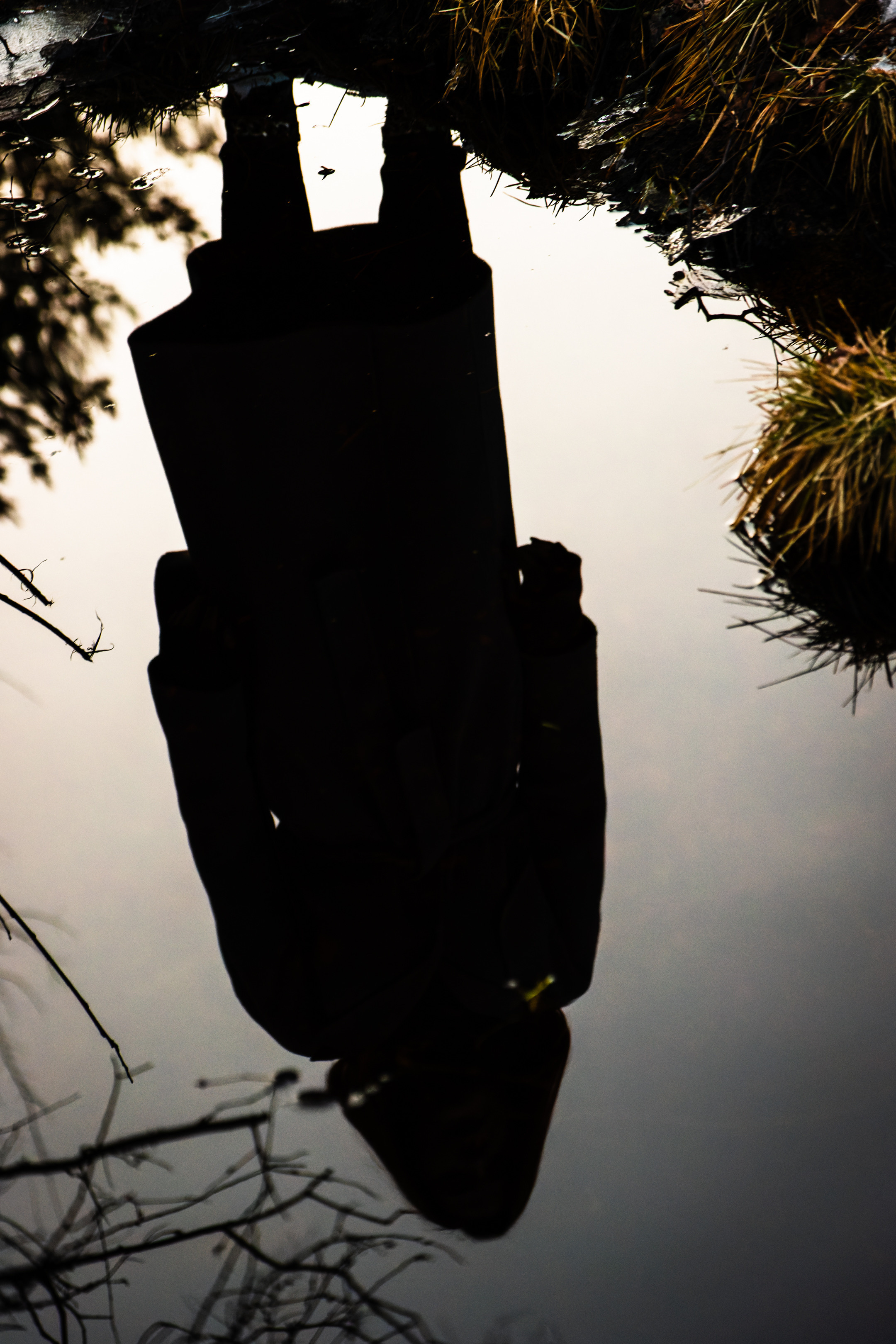 Kaunis hing (Sofija). Nebula 25 — Fotod teie hingele