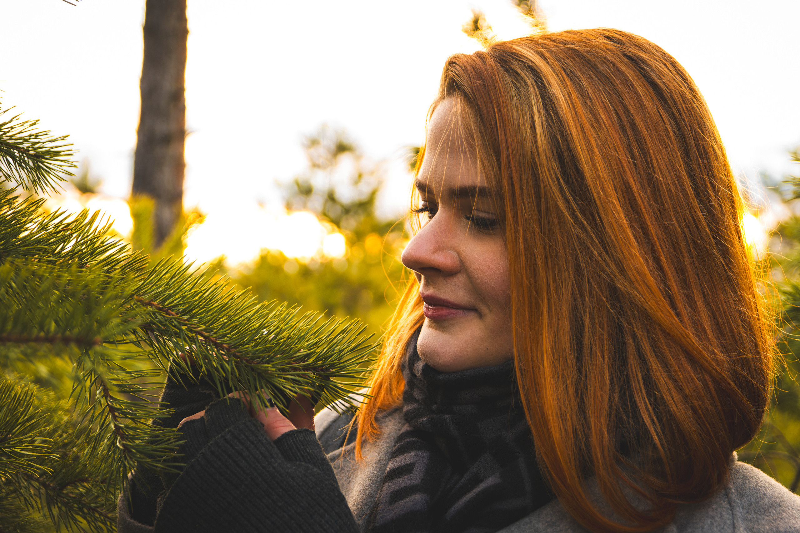 Kaunis hing (Sofija). Nebula 25 — Fotod teie hingele