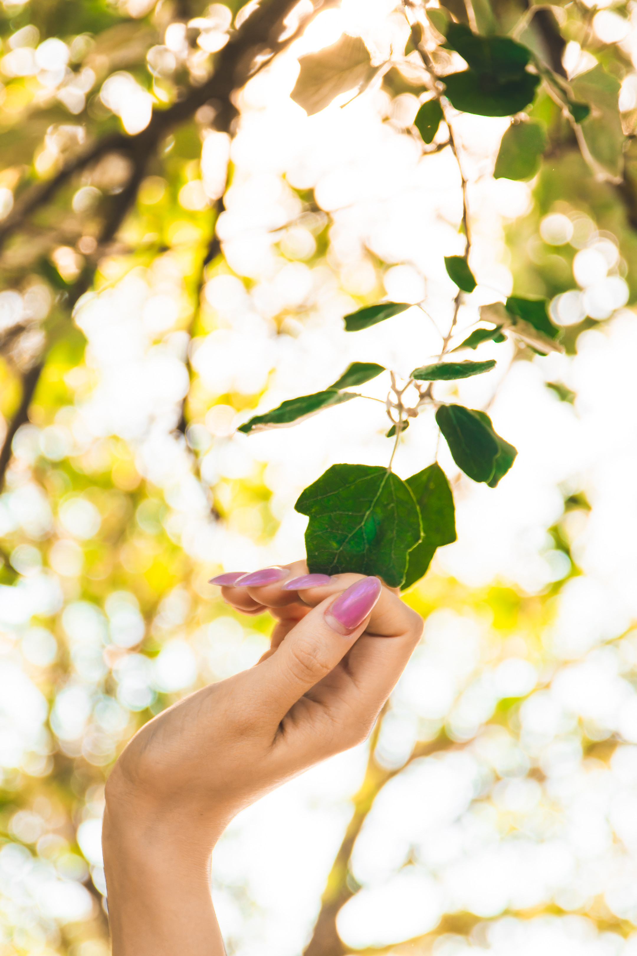 Alone girl (Stasja). Nebula 25 — Fotod teie hingele