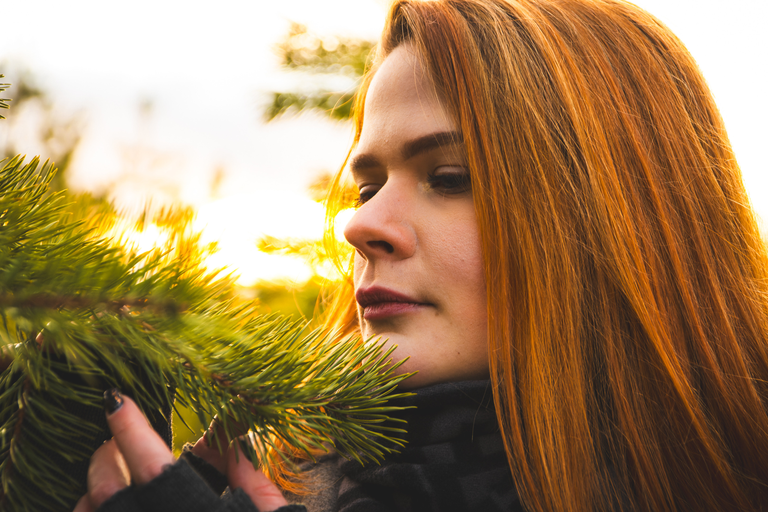 Kaunis hing (Sofija). Nebula 25 — Fotod teie hingele